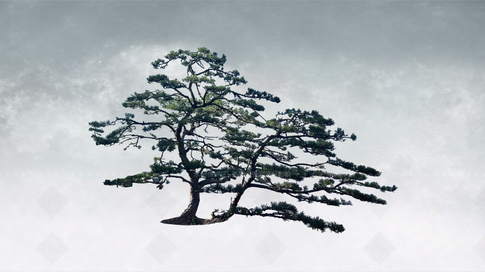 禅意盆栽SU模型下载【ID:1234381786】