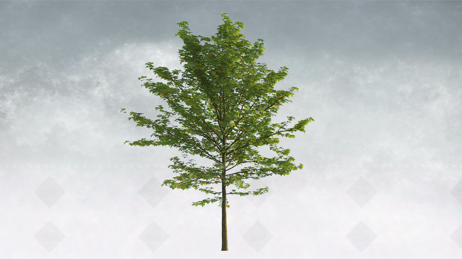 极简乔木SU模型下载【ID:1234381885】