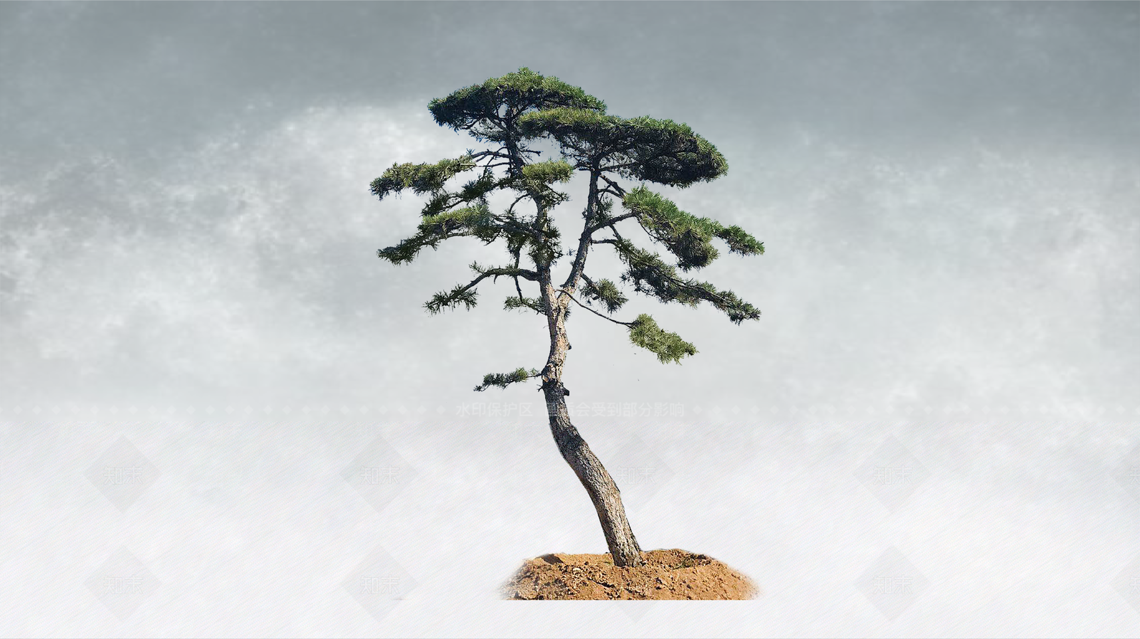 禅意乔木SU模型下载【ID:1234381910】