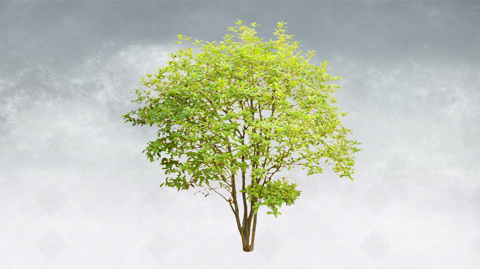 极简乔木SU模型下载【ID:1234382006】