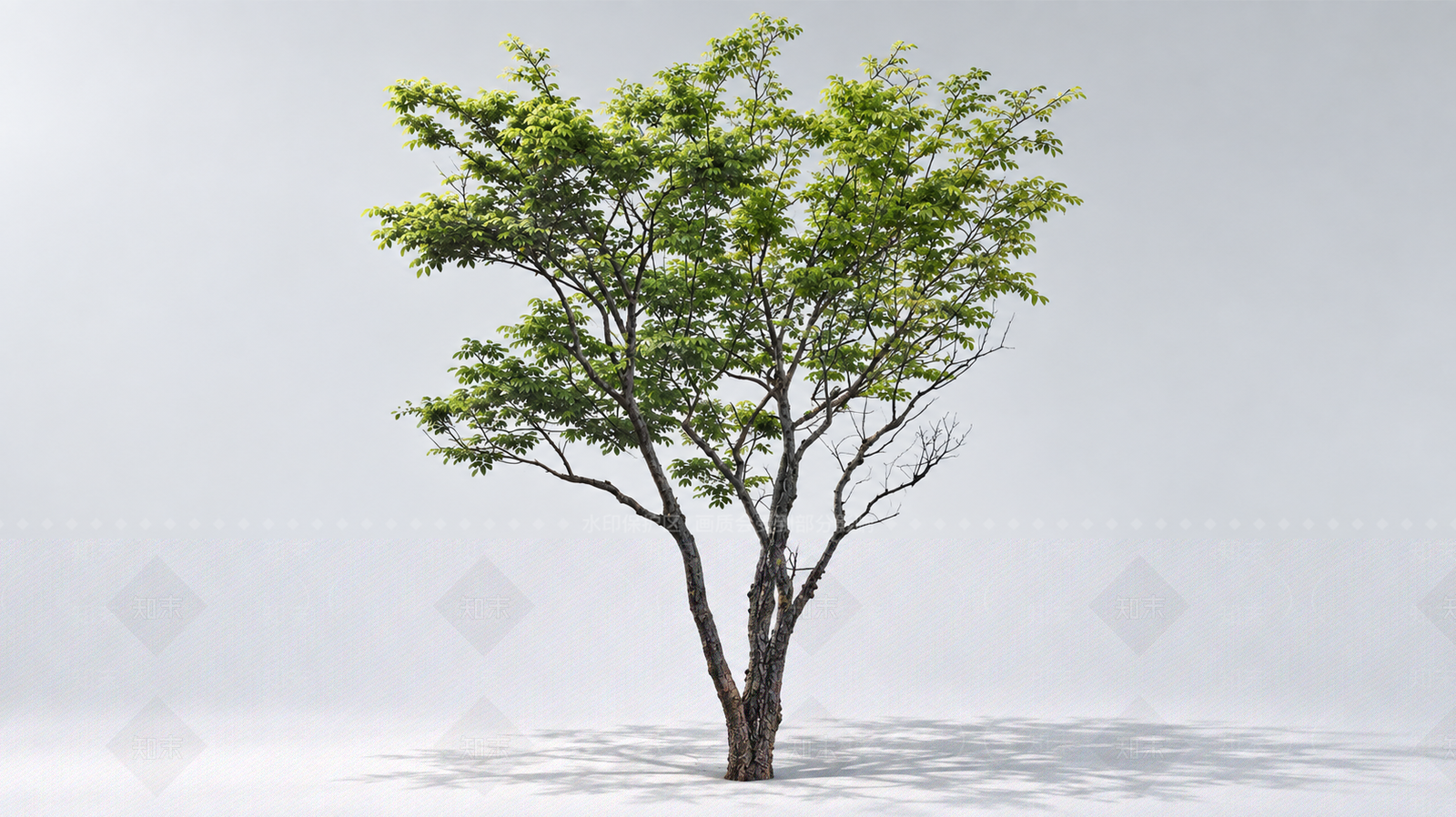 极简乔木SU模型下载【ID:1234382017】