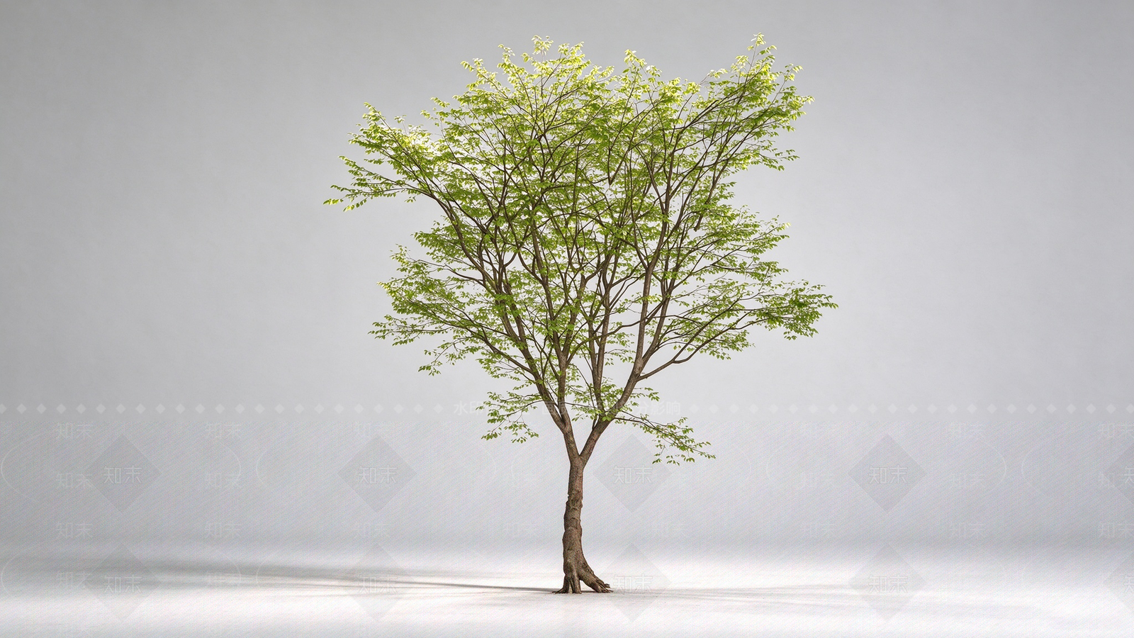 极简乔木SU模型下载【ID:1234382279】