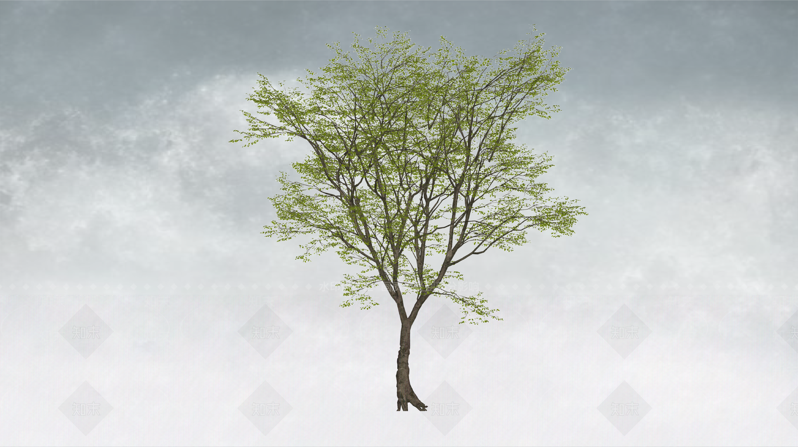 极简乔木SU模型下载【ID:1234382279】