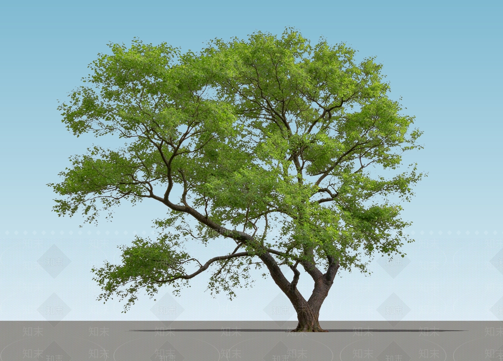 乔木SU模型下载【ID:1234382396】