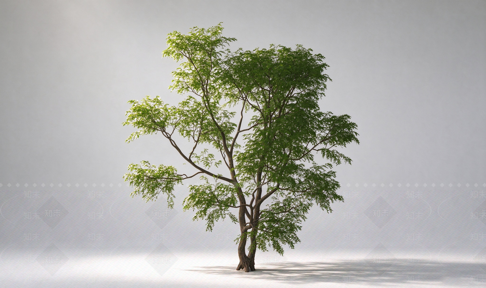 乔木SU模型下载【ID:1234383085】