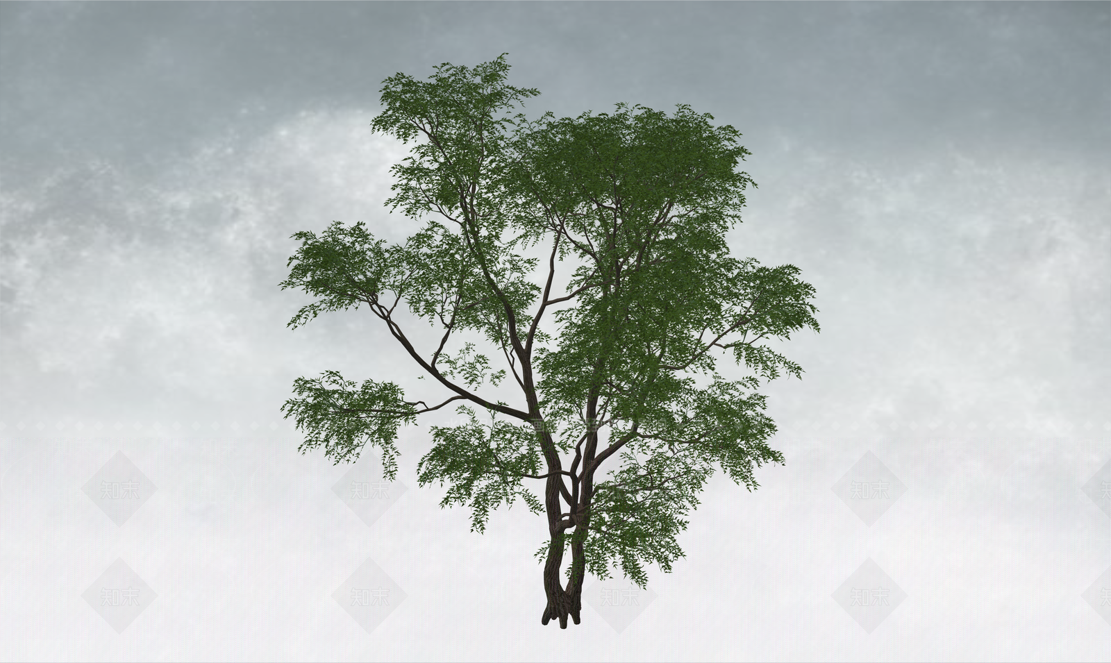 乔木SU模型下载【ID:1234383085】