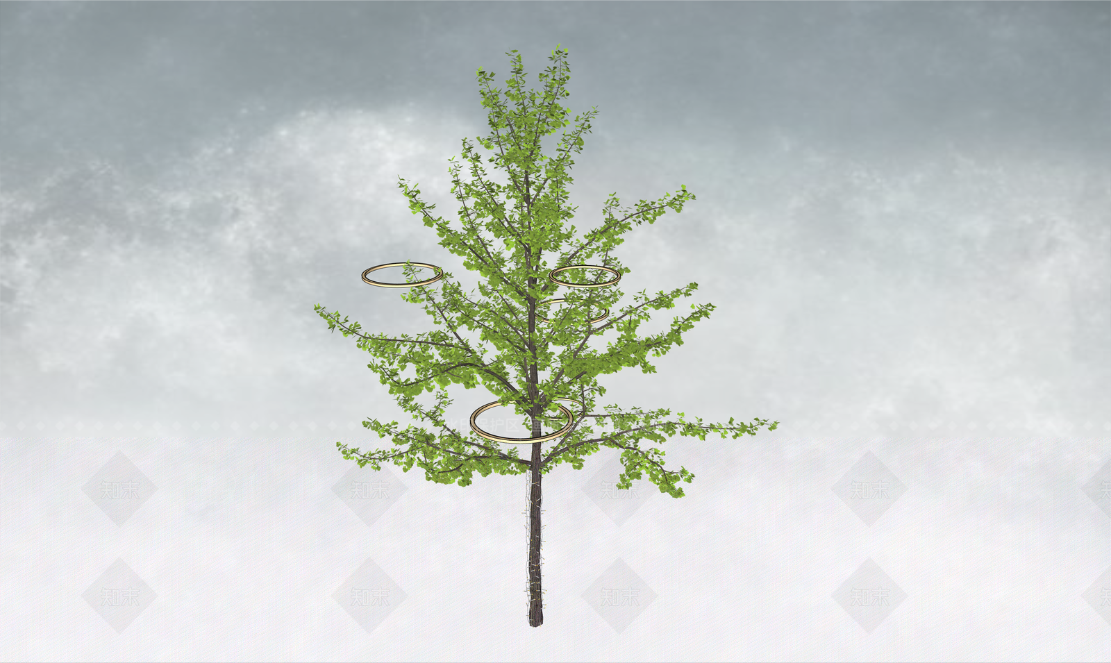 极简乔木SU模型下载【ID:1234383601】