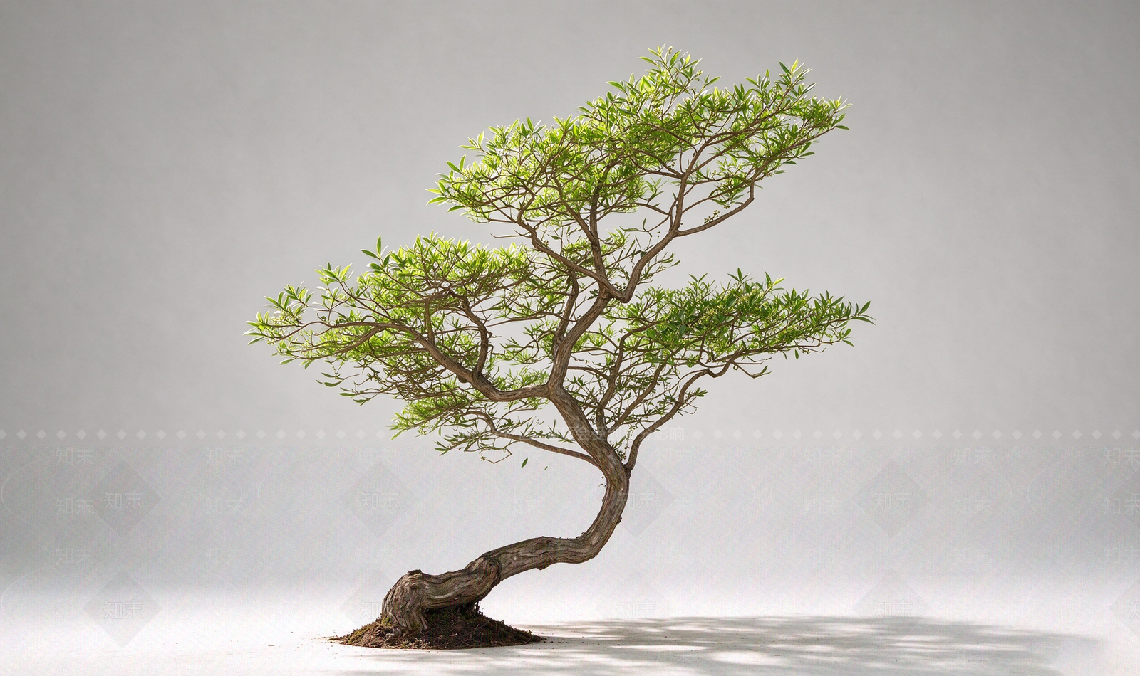禅意盆栽SU模型下载【ID:1234383675】