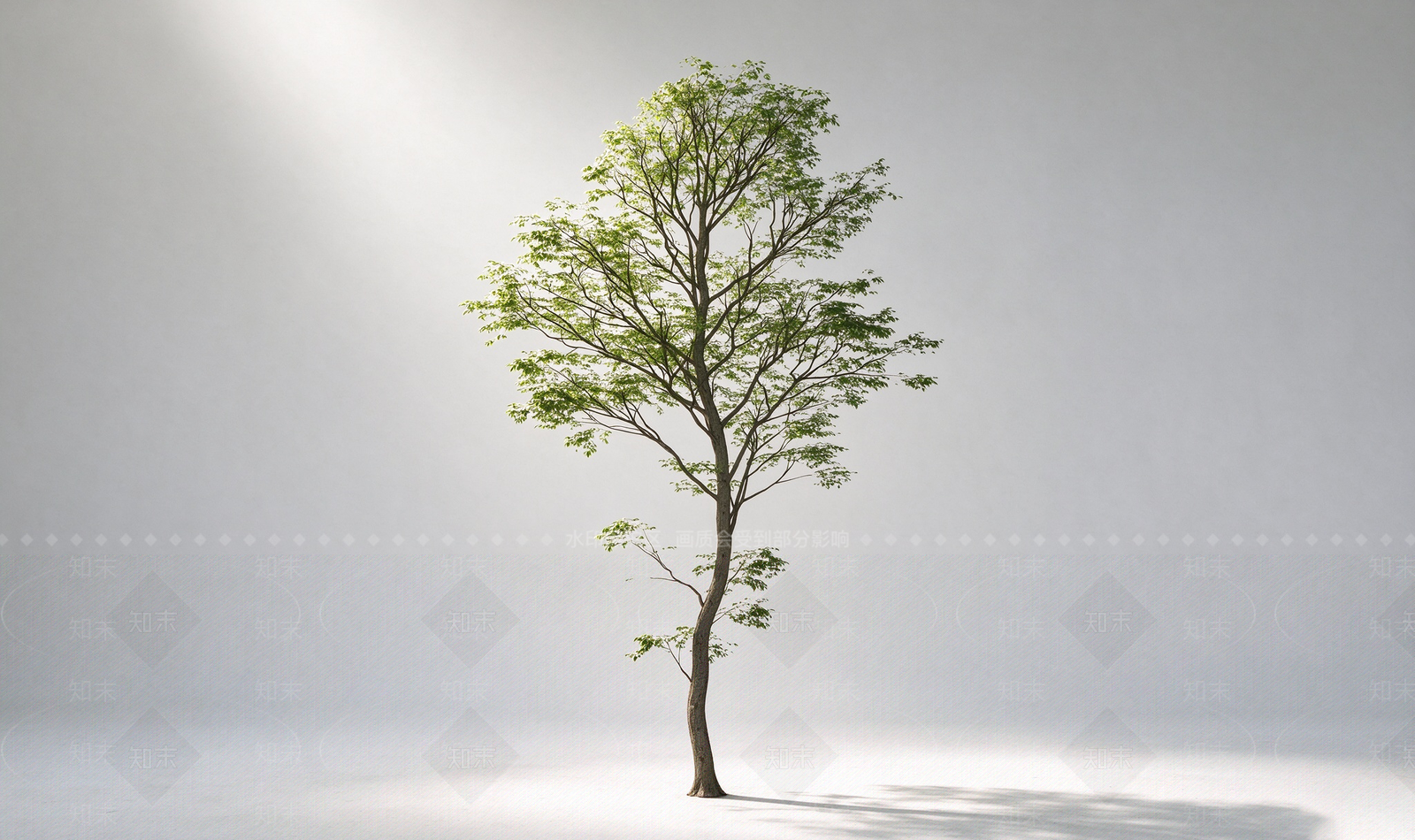 极简乔木SU模型下载【ID:1234383780】