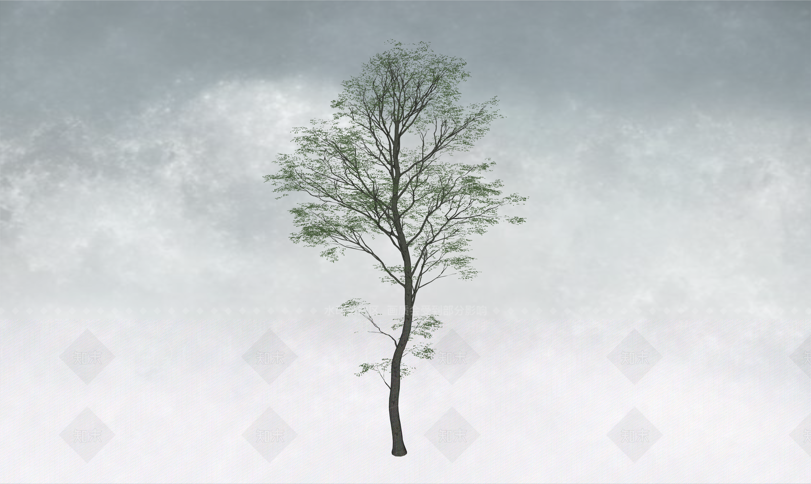 极简乔木SU模型下载【ID:1234383780】