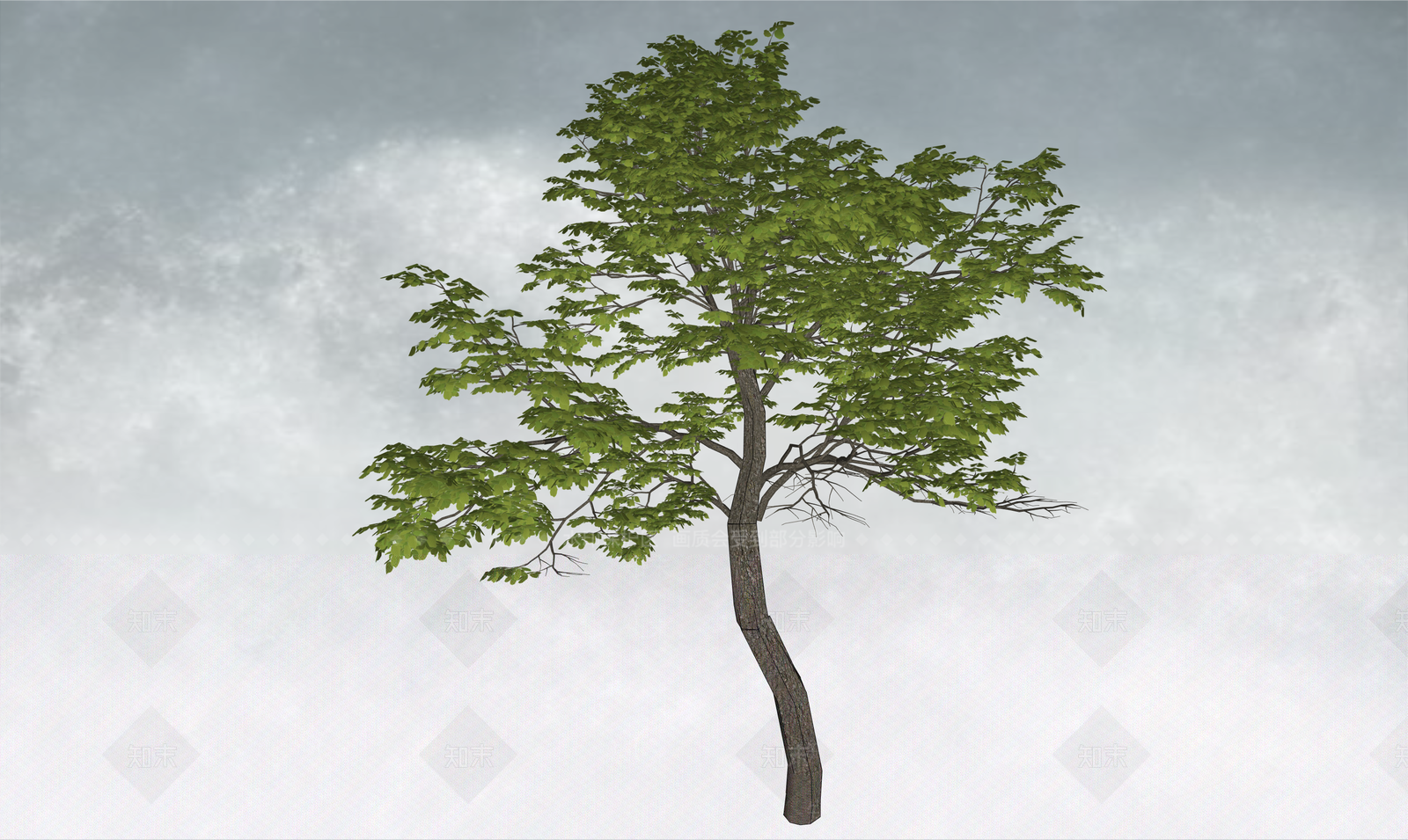 极简乔木SU模型下载【ID:1234383972】