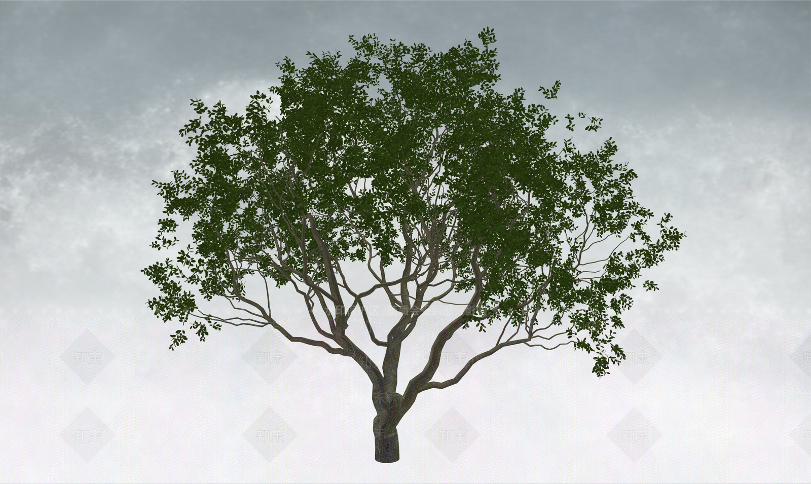 极简乔木SU模型下载【ID:1234384080】