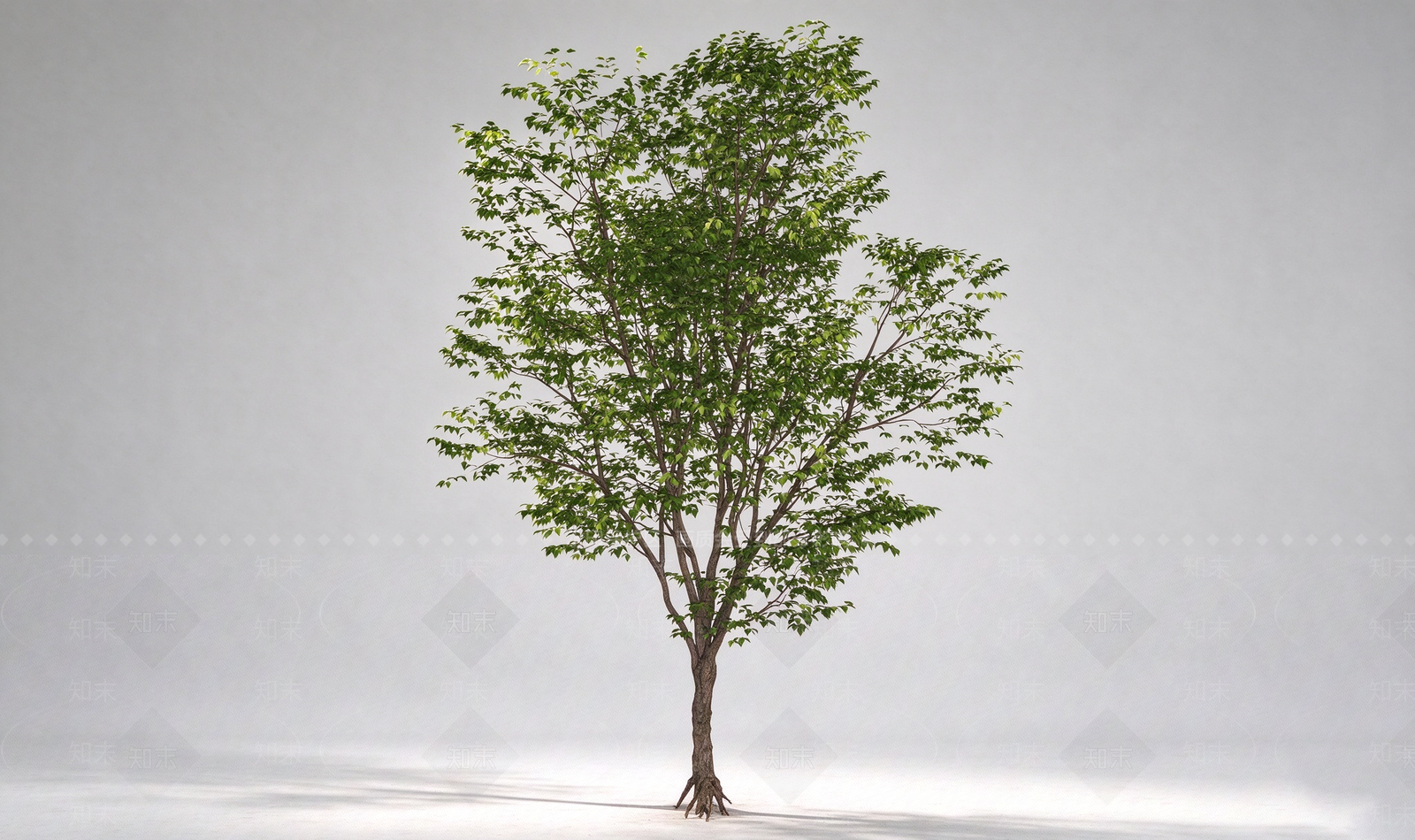 极简乔木SU模型下载【ID:1234384147】