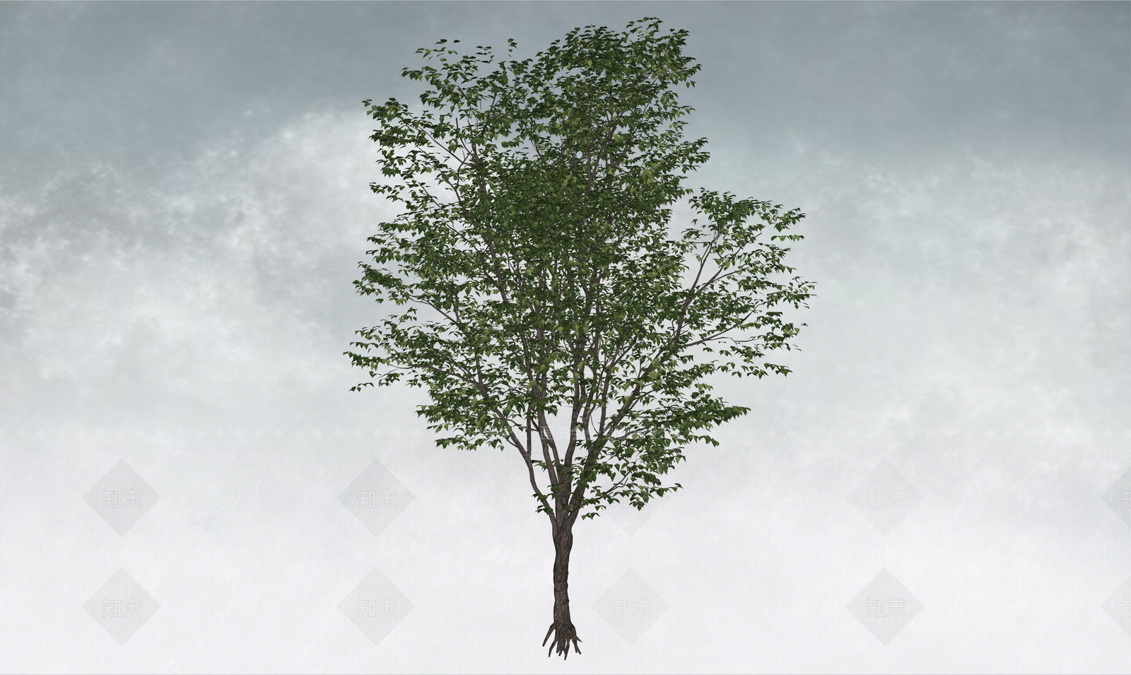 极简乔木SU模型下载【ID:1234384147】