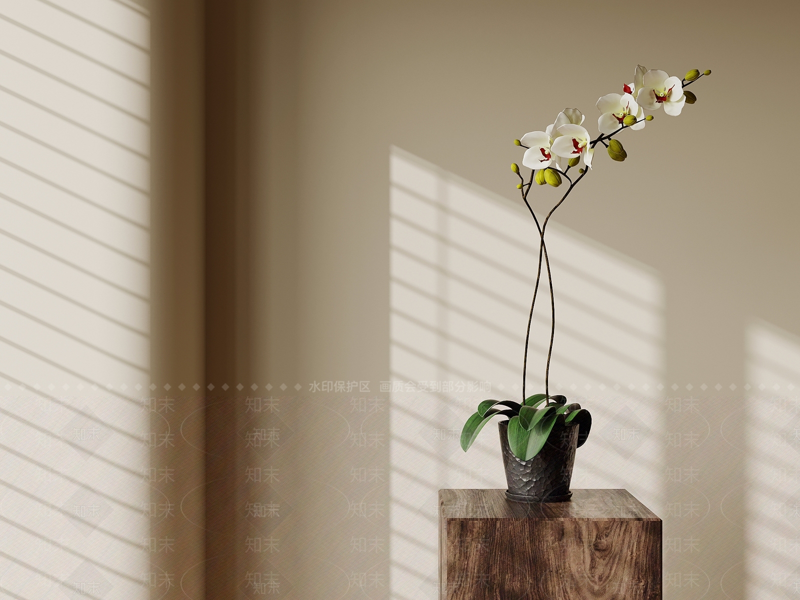 极简盆栽SU模型下载【ID:1234384537】