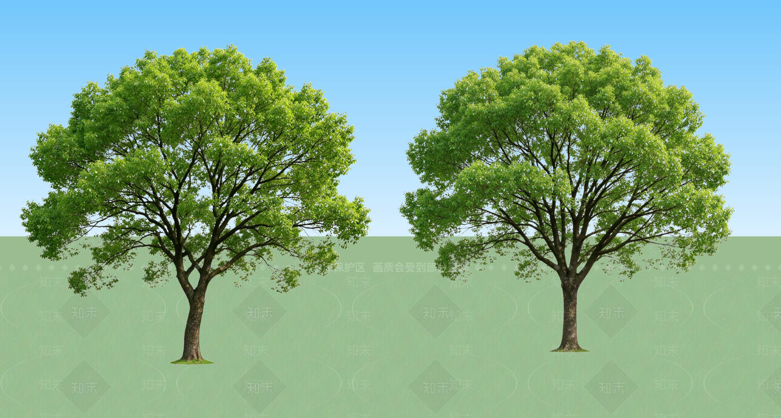 现代主义乔木SU模型下载【ID:1234396101】