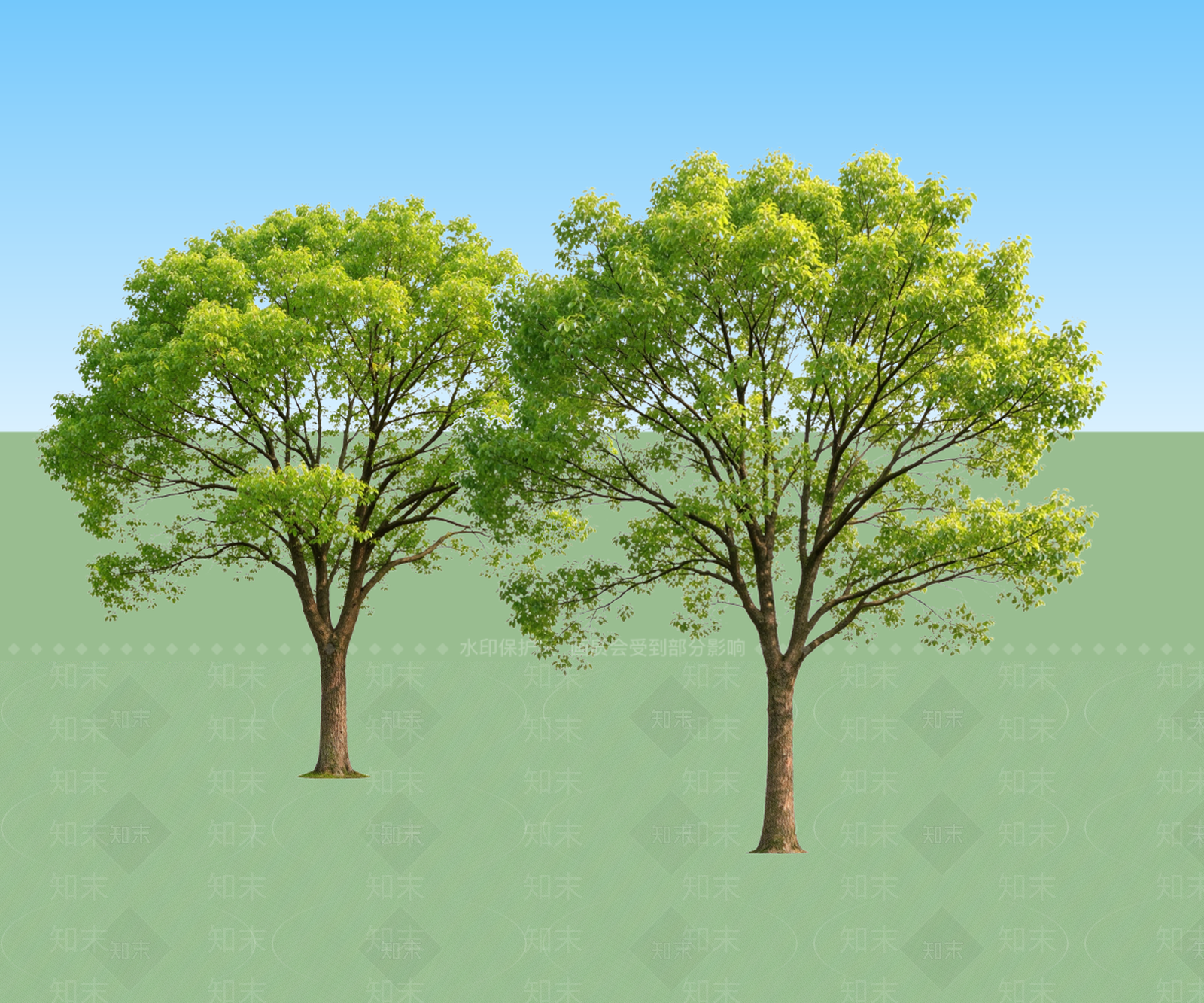 乔木SU模型下载【ID:1234396122】