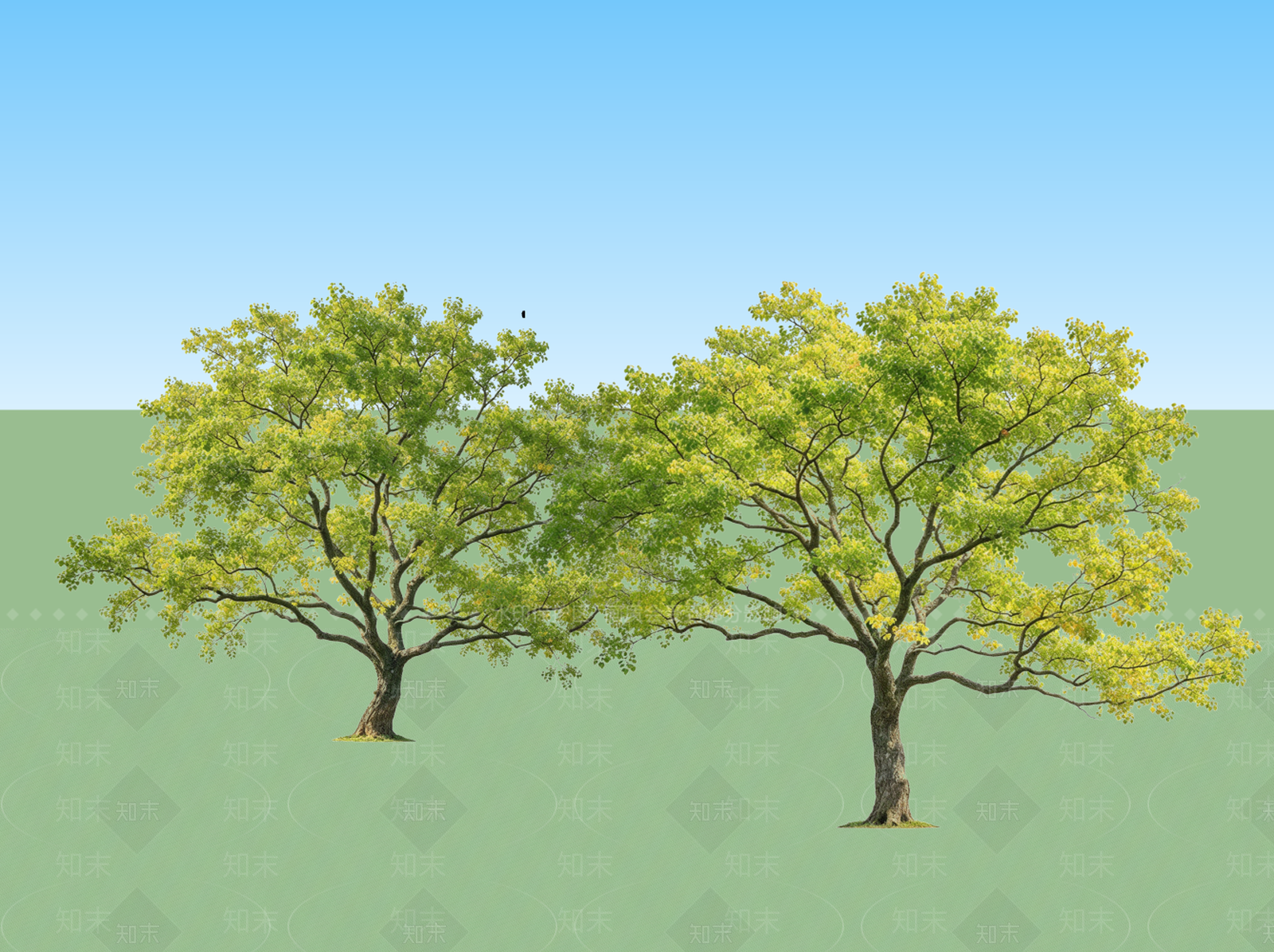 极简乔木SU模型下载【ID:1234396193】