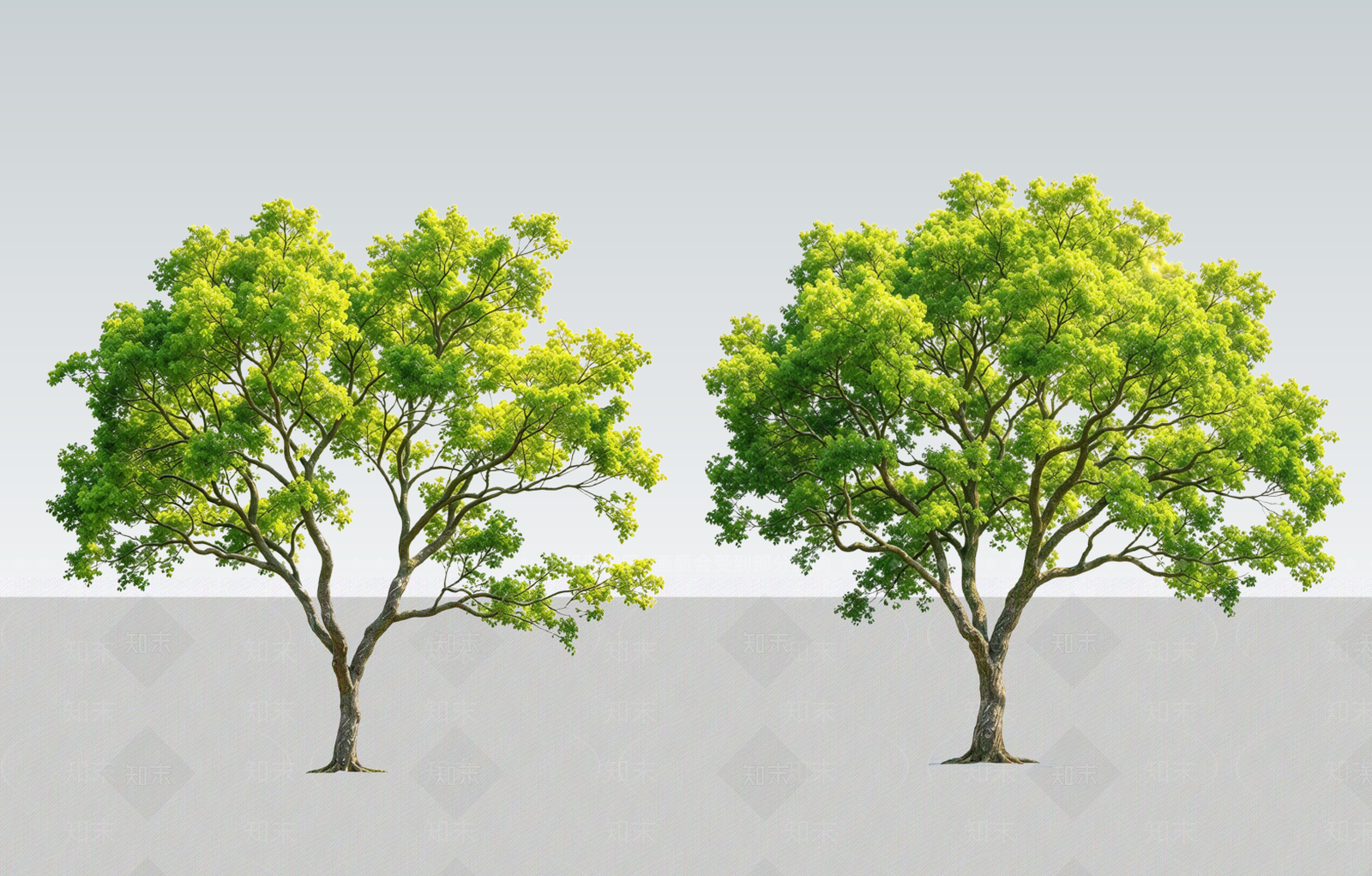 乔木SU模型下载【ID:1234396154】