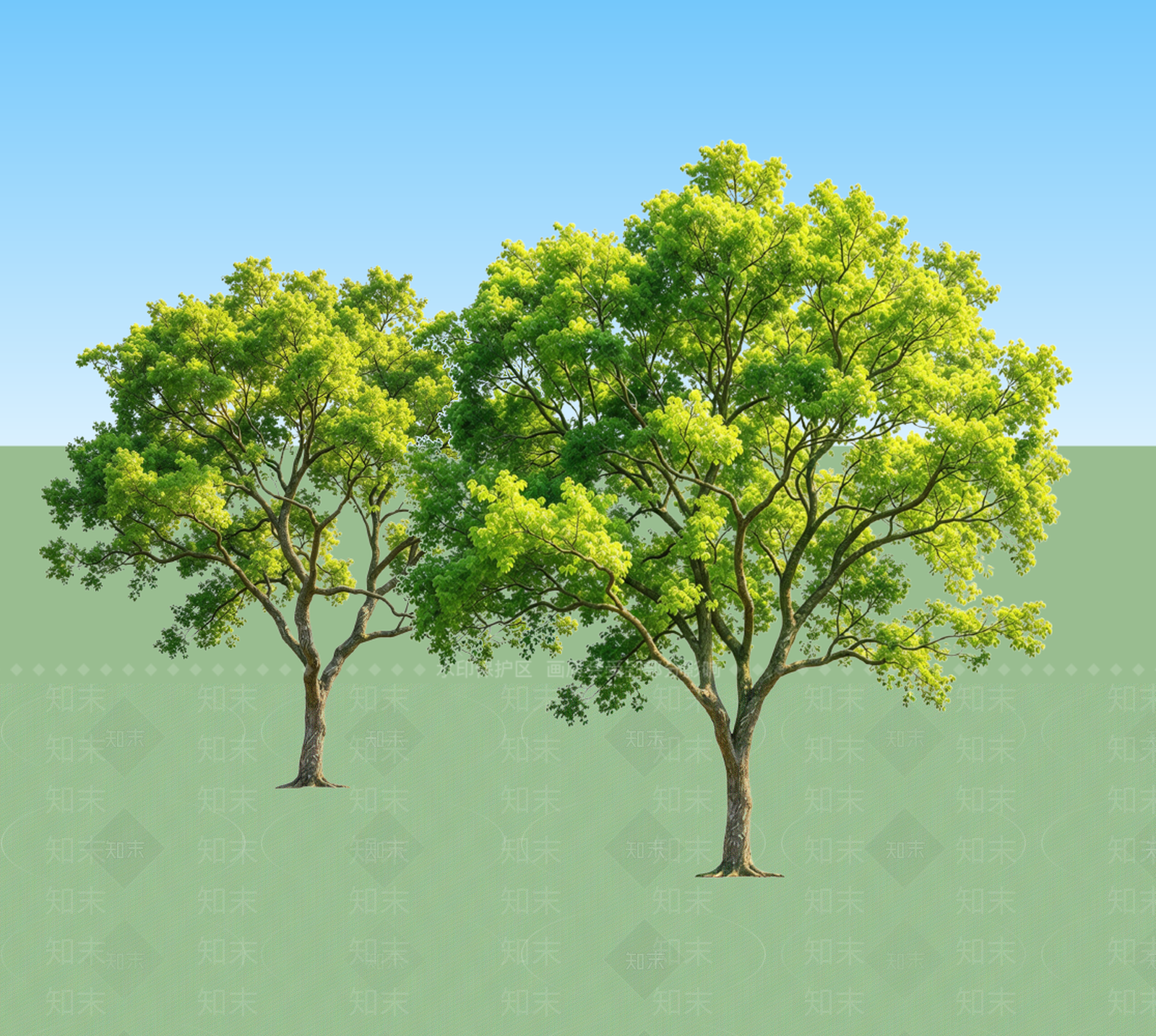 极简乔木SU模型下载【ID:1234396195】