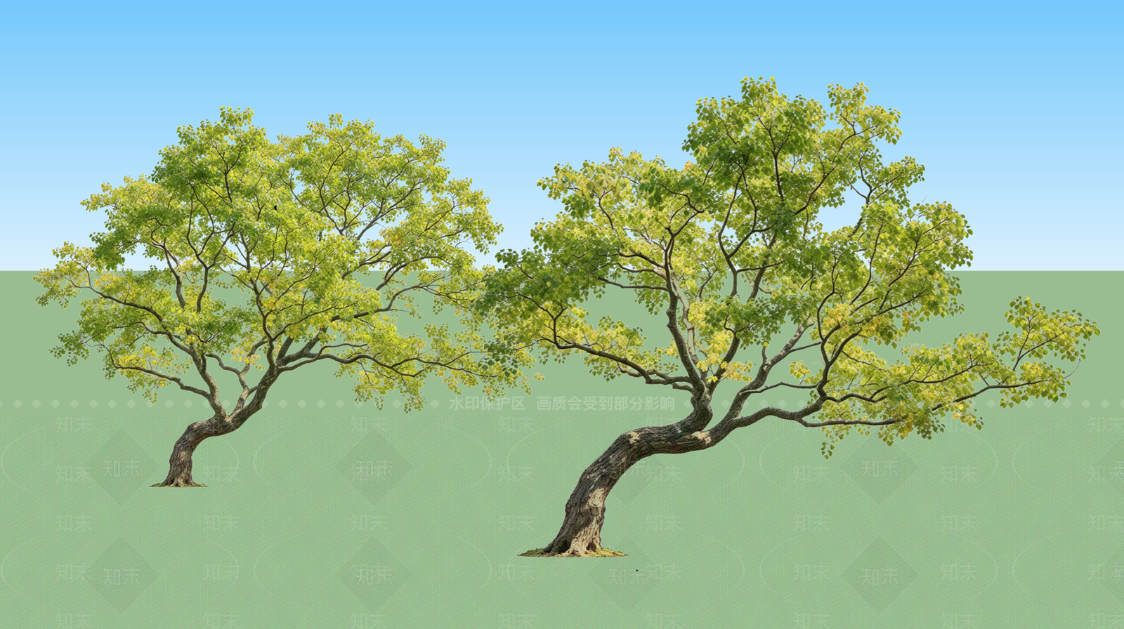 新中式景观乔木SU模型下载【ID:1234396146】