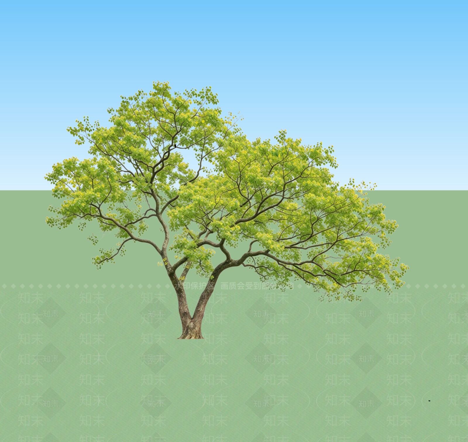极简乔木SU模型下载【ID:1234396158】