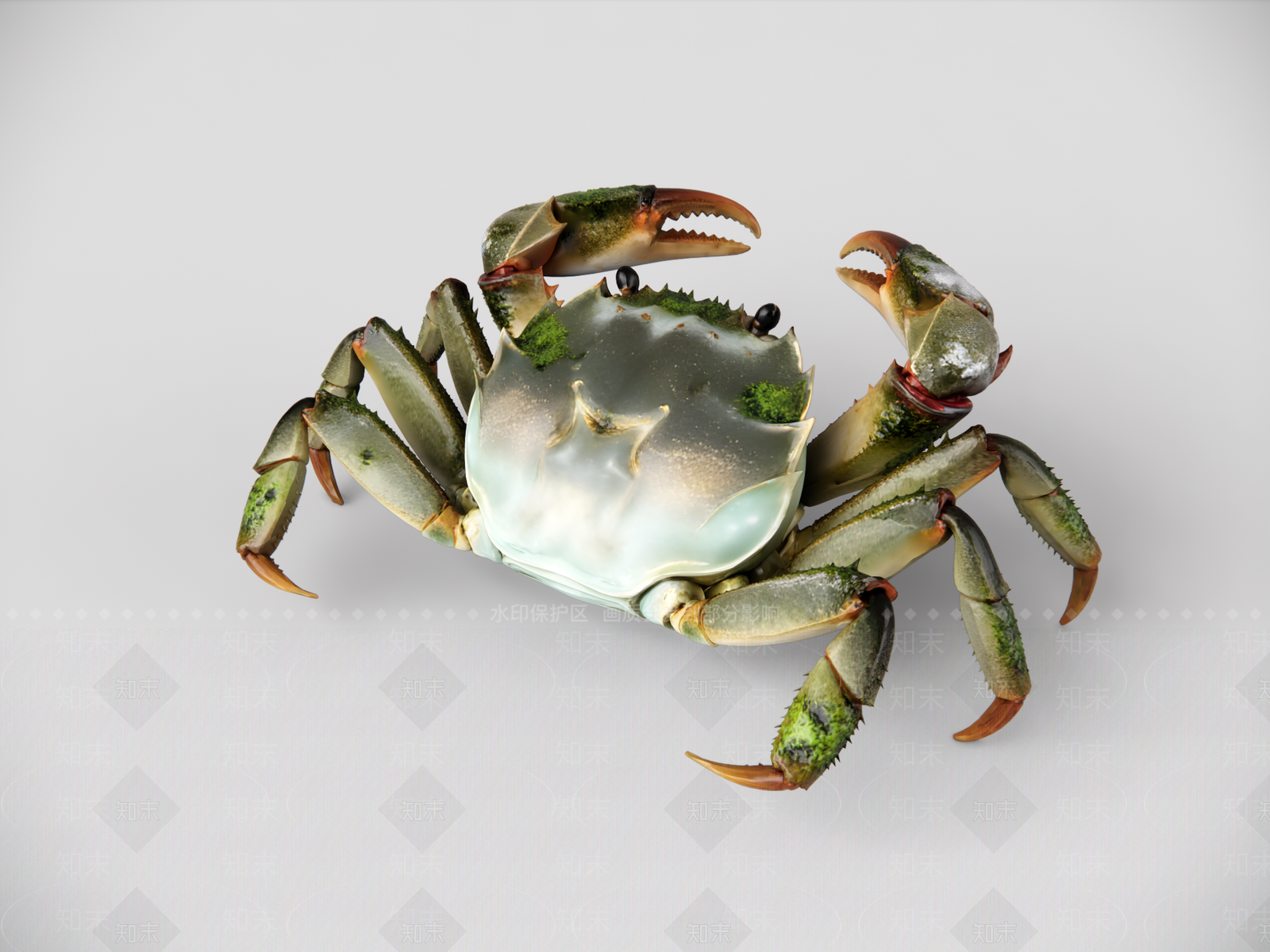 水生动物SU模型下载【ID:1234548258】
