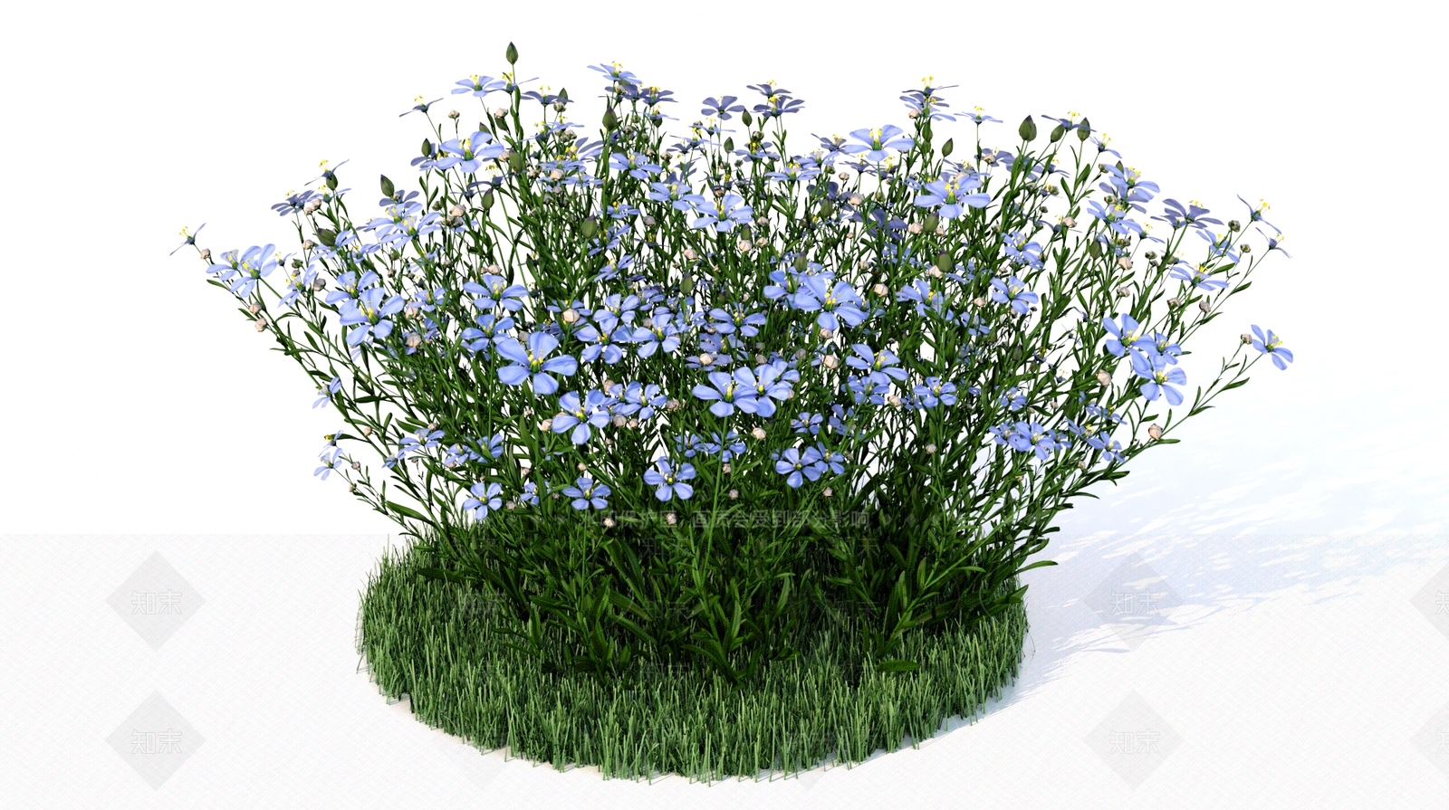 极简花草组合3D模型渲染效果图