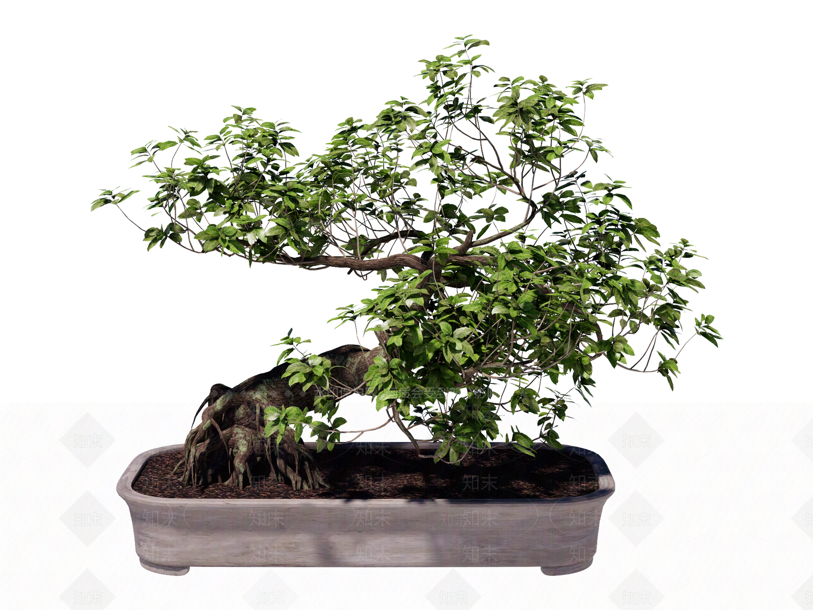 日式盆栽SU模型下载【ID:1234607211】