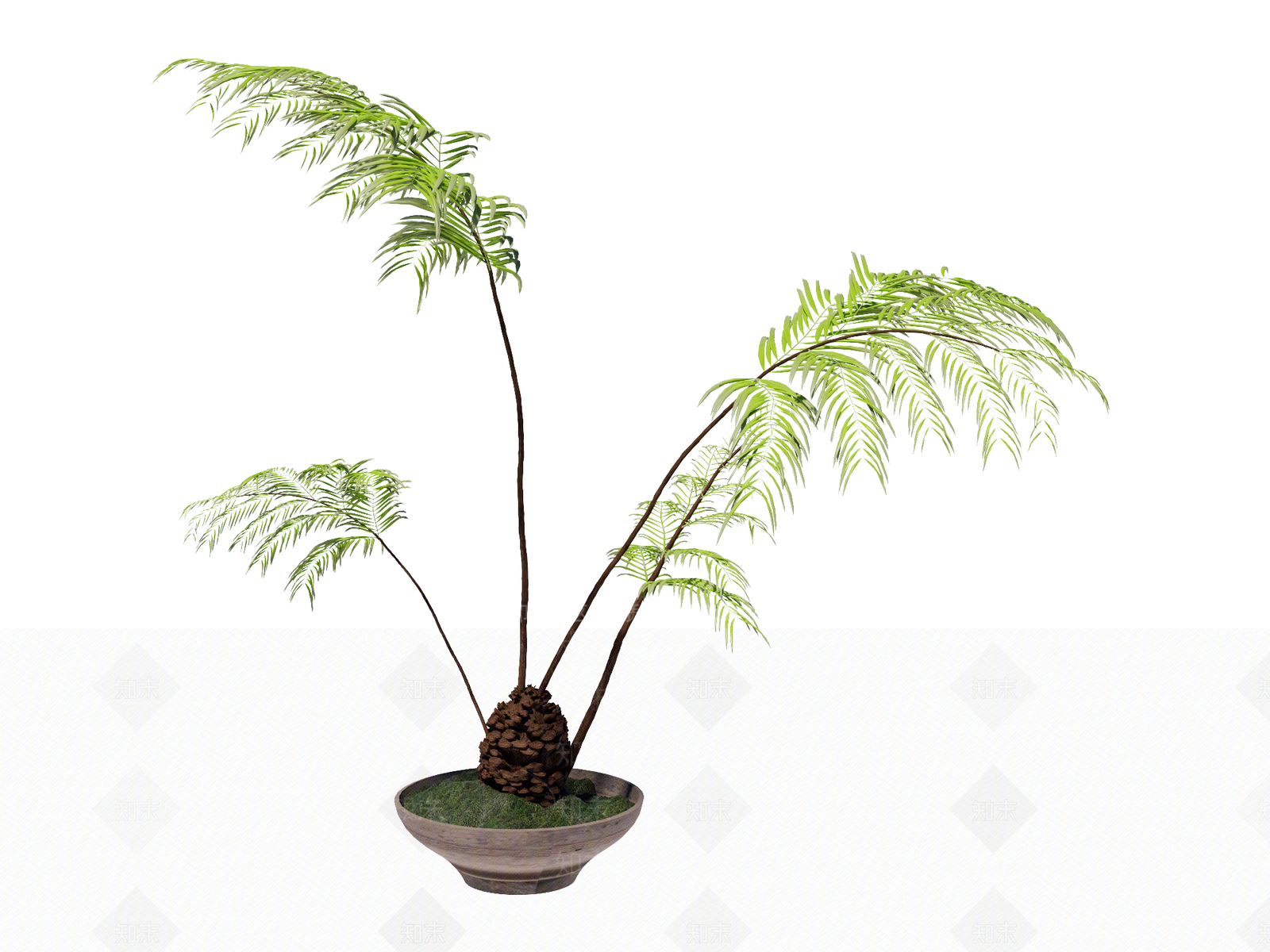侘寂盆栽SU模型下载【ID:1234607344】