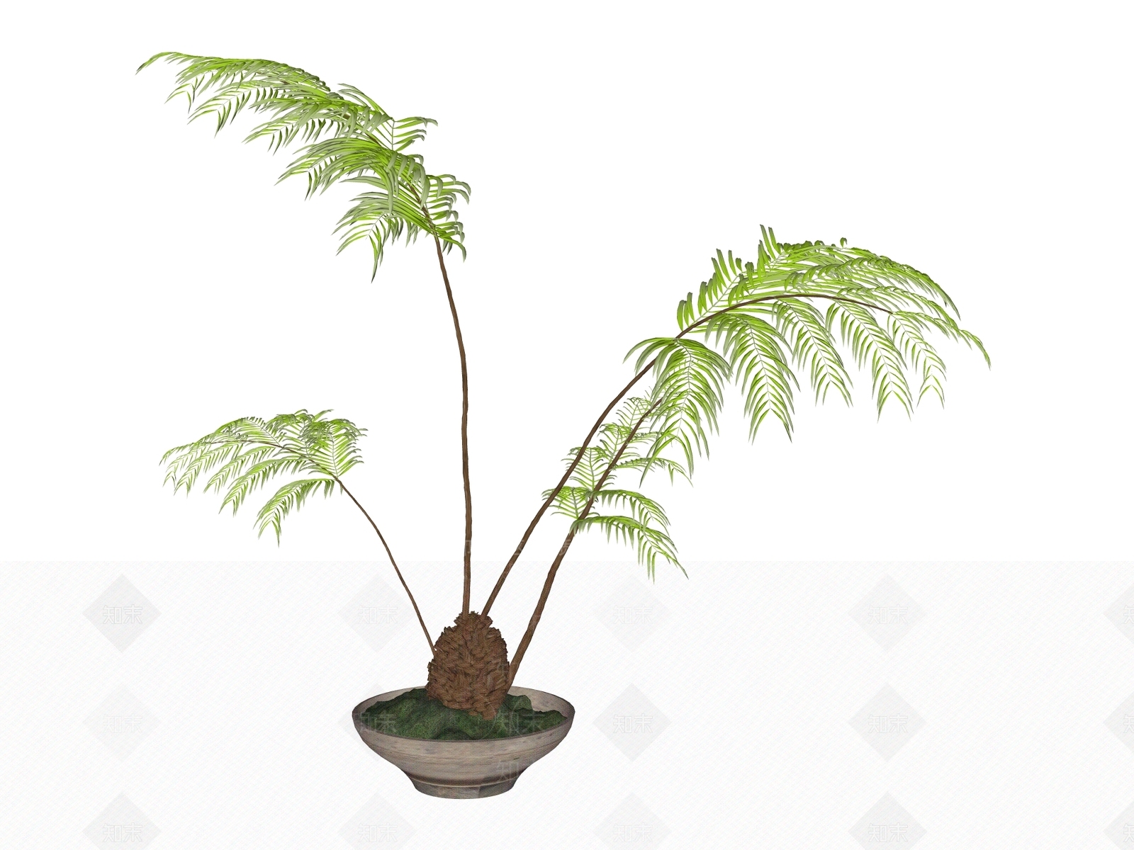 侘寂盆栽SU模型下载【ID:1234607344】