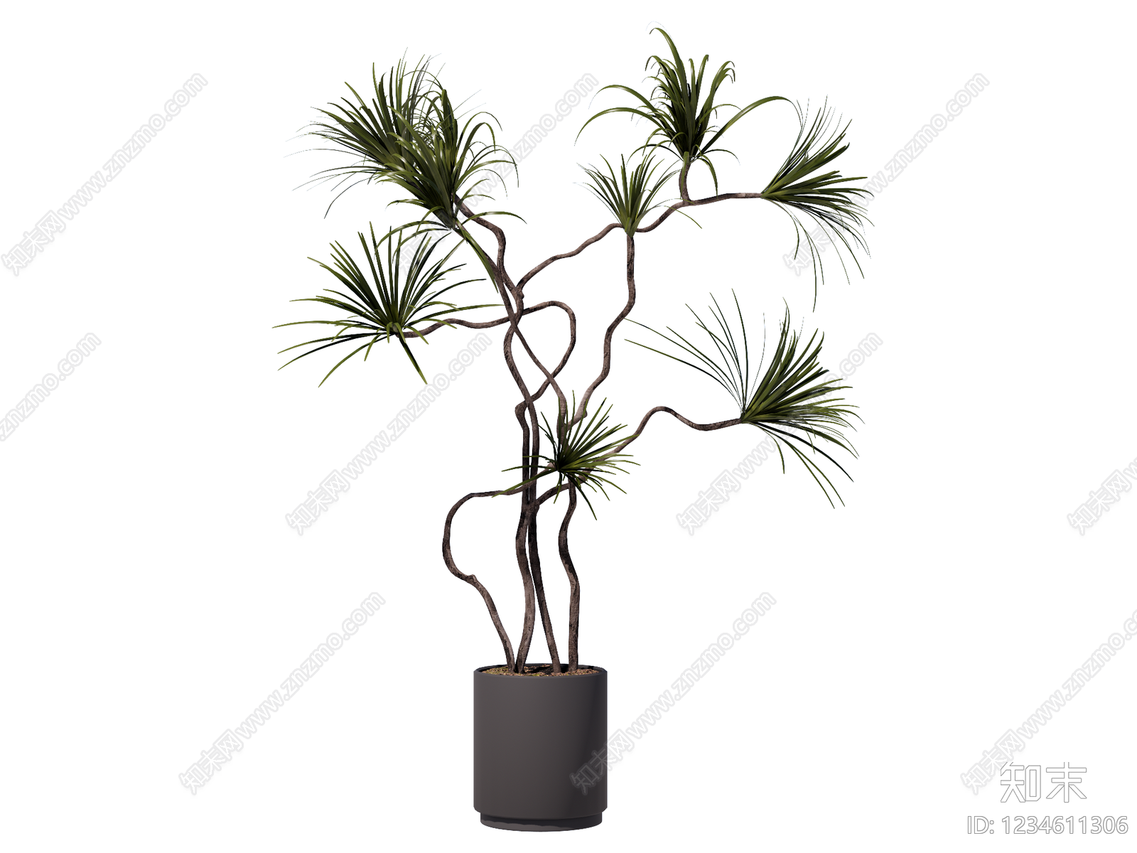 现代简约盆栽SU模型下载【ID:1234611306】