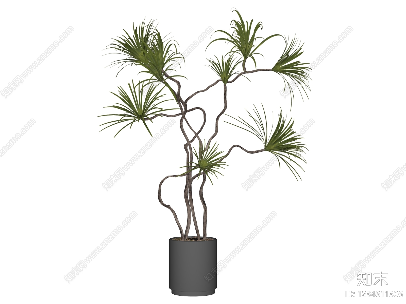 现代简约盆栽SU模型下载【ID:1234611306】