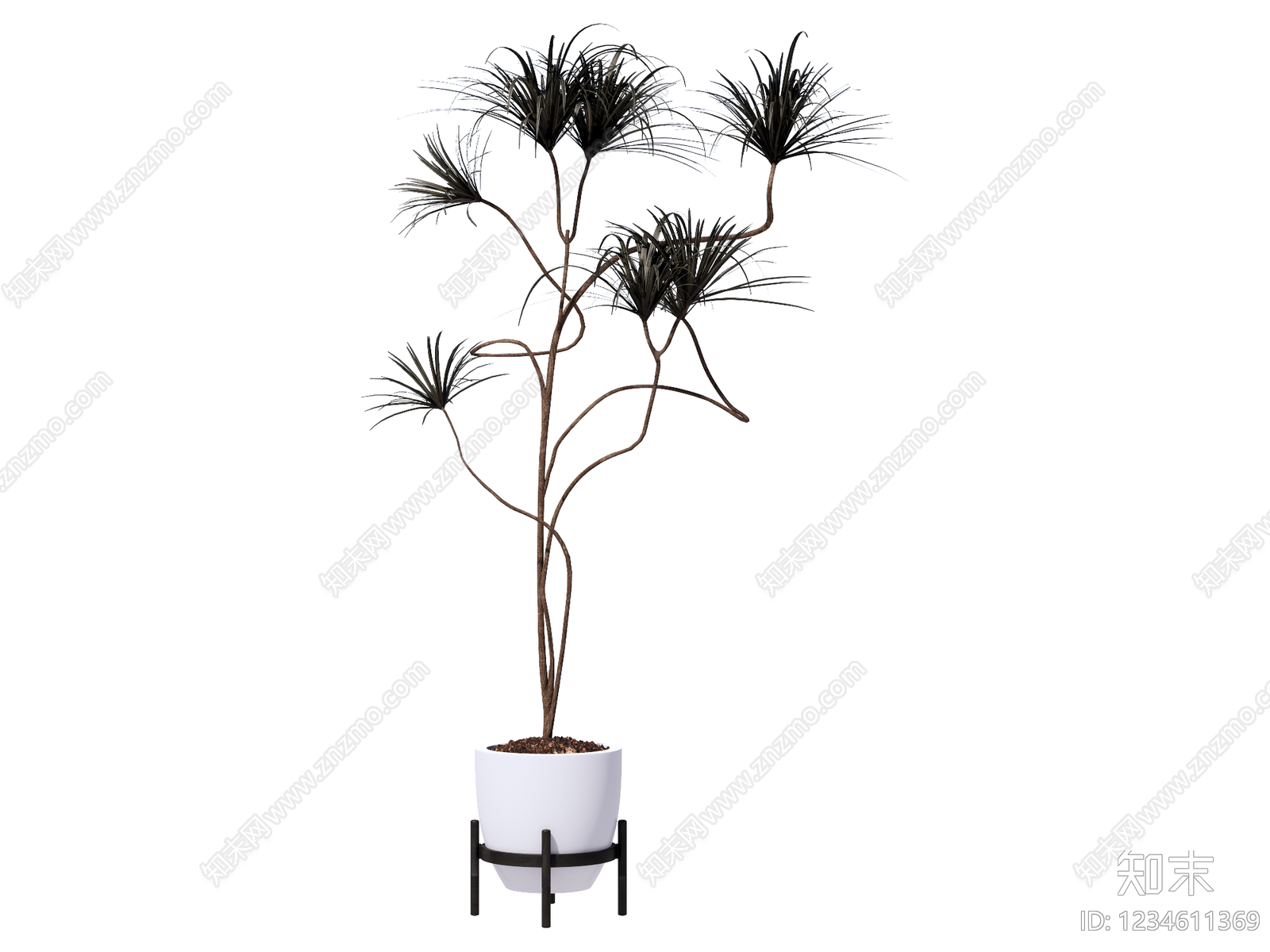 现代简约盆栽SU模型下载【ID:1234611369】