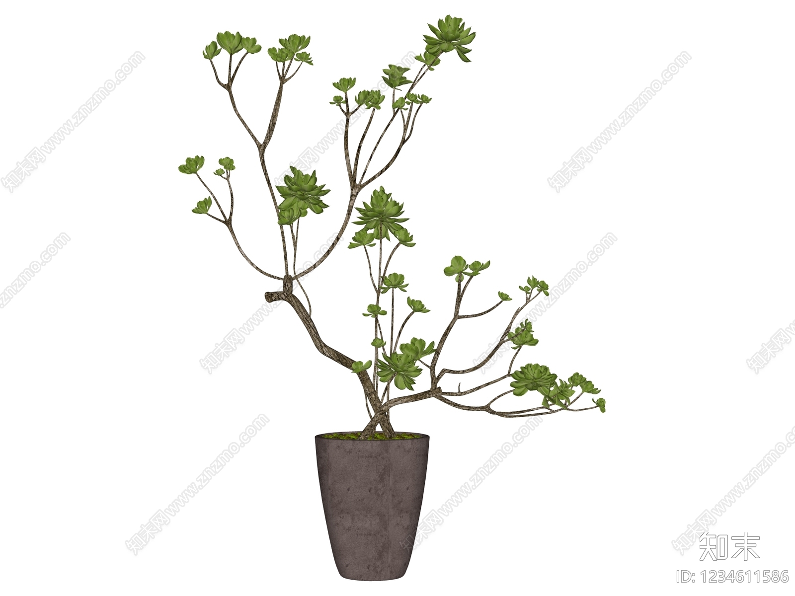侘寂盆栽SU模型下载【ID:1234611586】