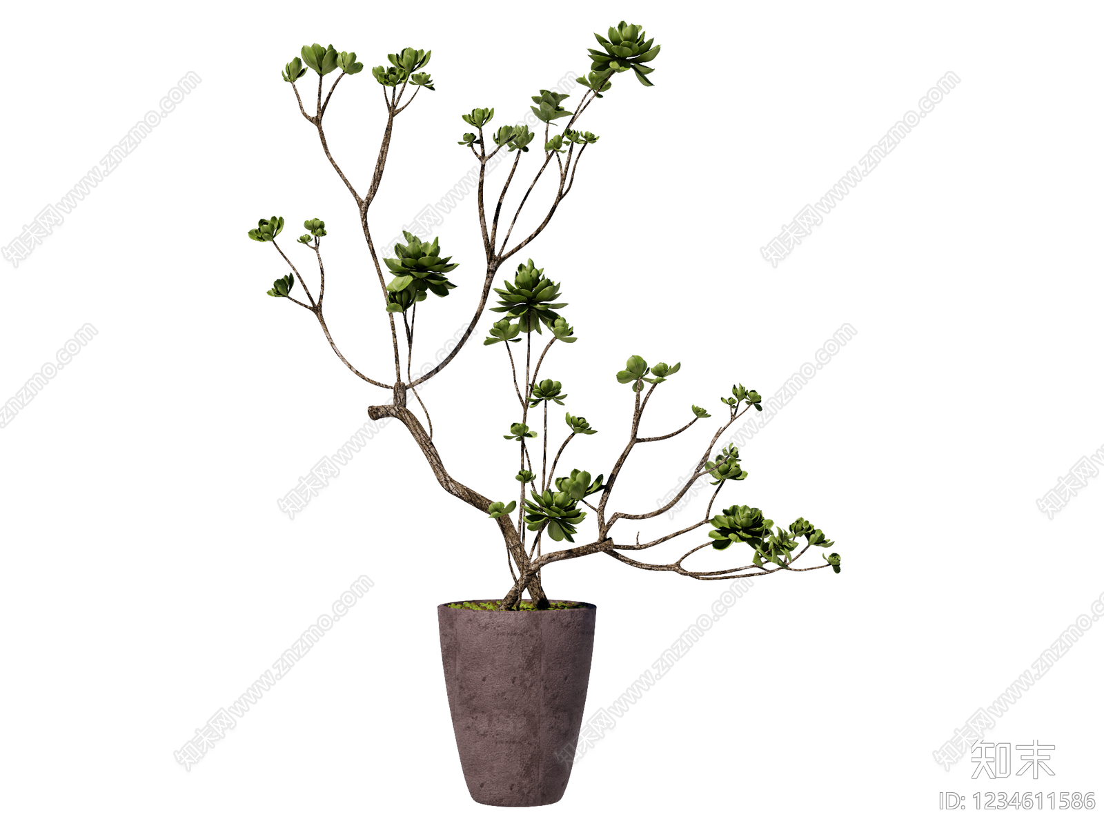 侘寂盆栽SU模型下载【ID:1234611586】