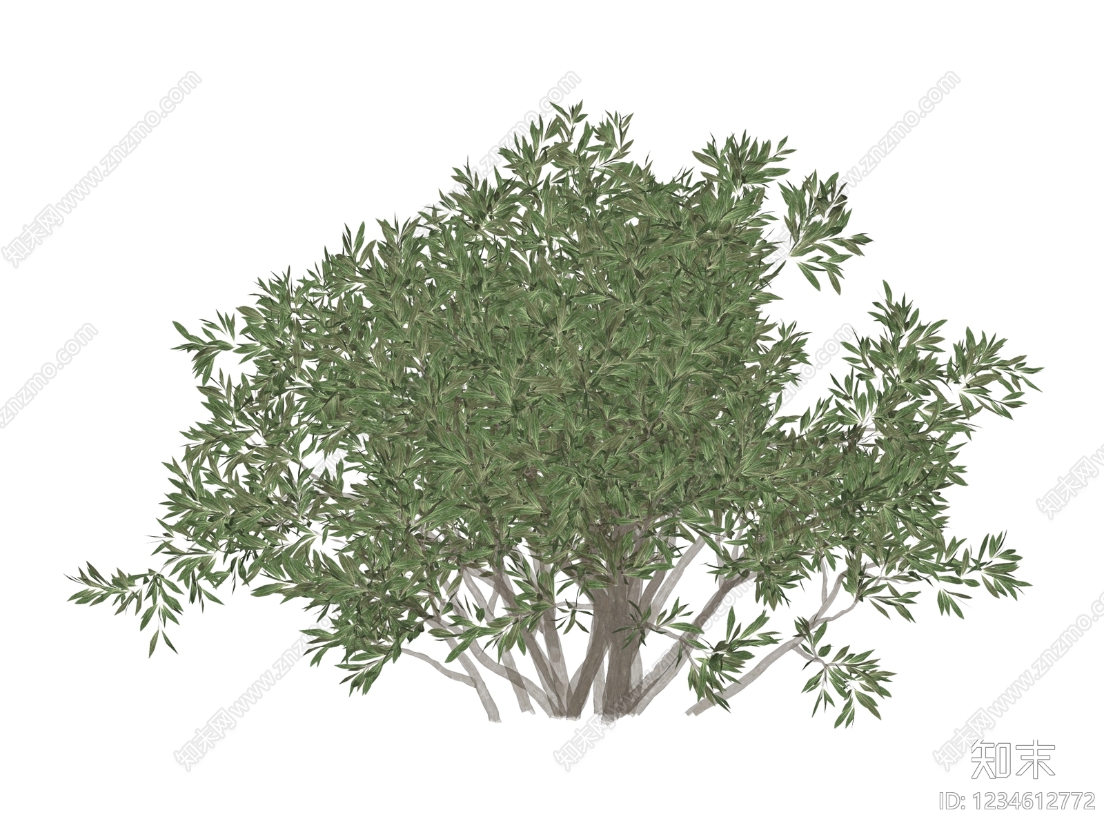 灌木SU模型下载【ID:1234612772】
