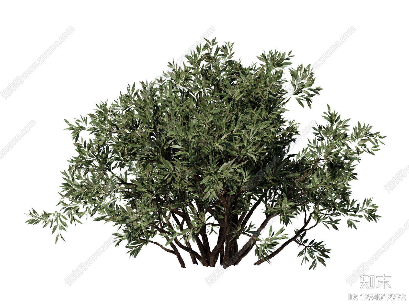 灌木SU模型下载【ID:1234612772】