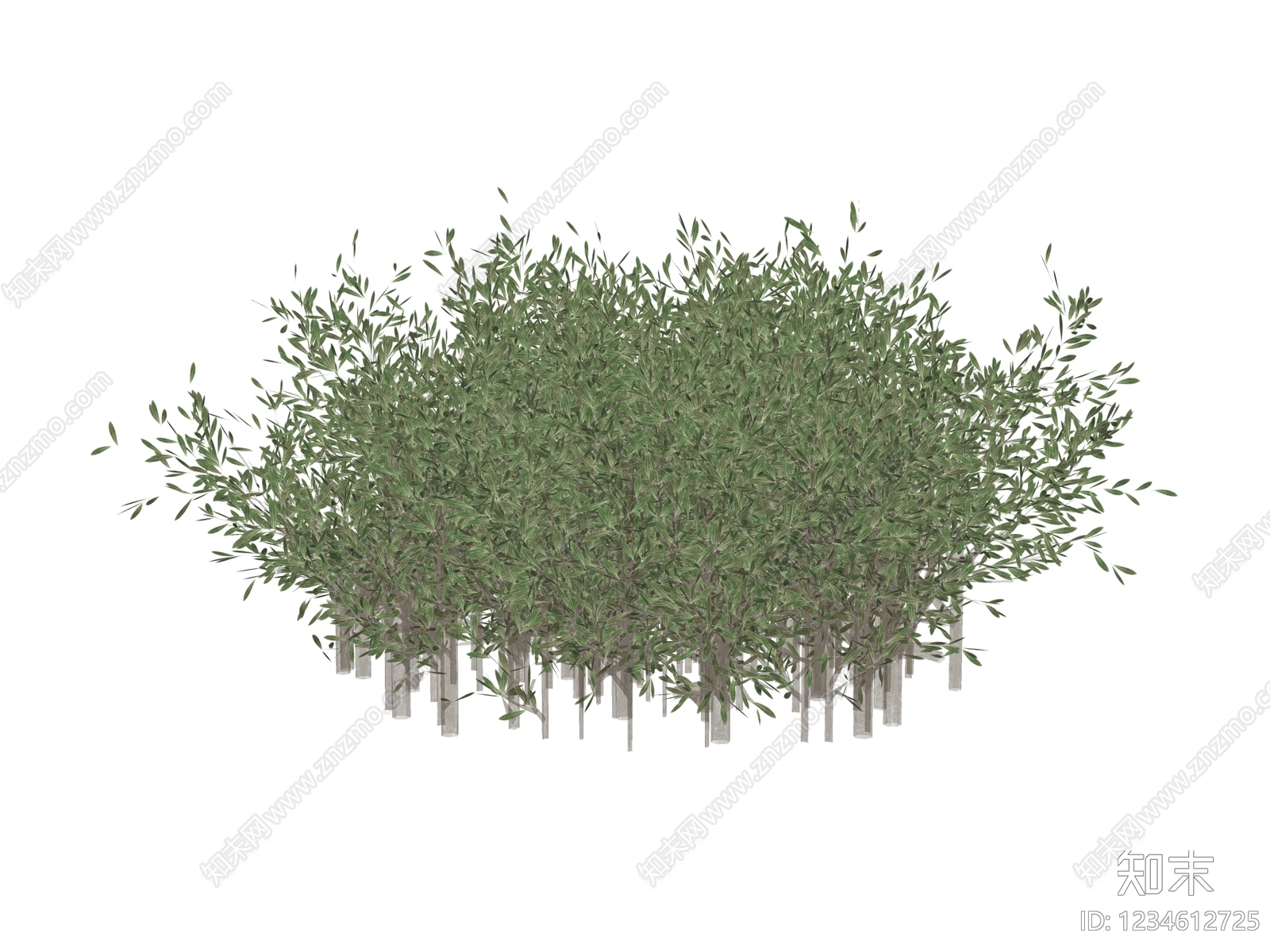 灌木SU模型下载【ID:1234612725】