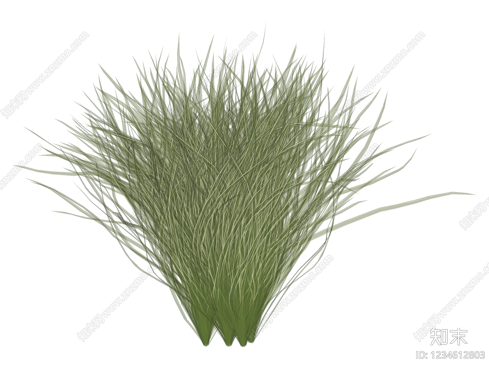 草本植物SU模型下载【ID:1234612803】