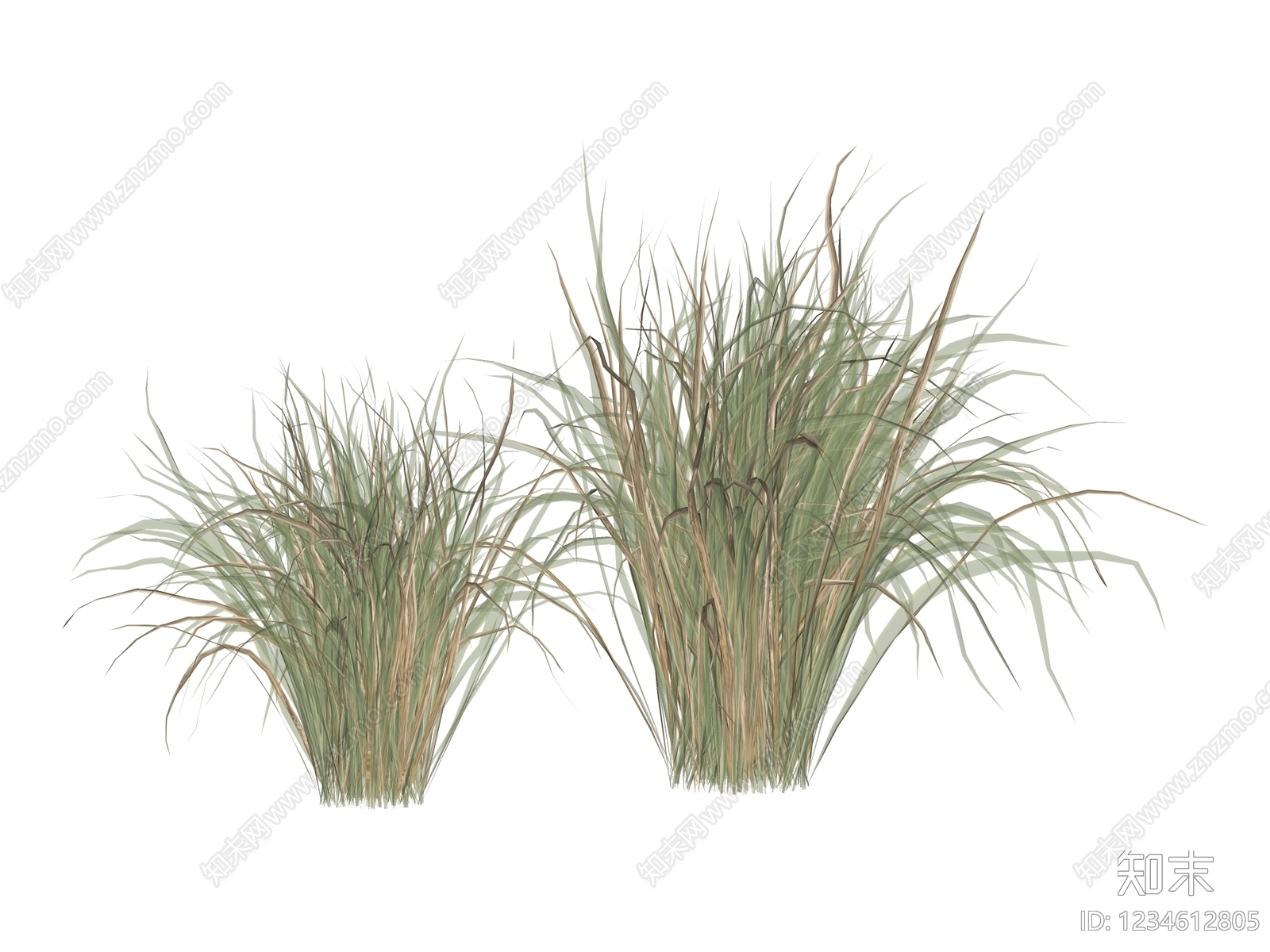 草本植物SU模型下载【ID:1234612805】