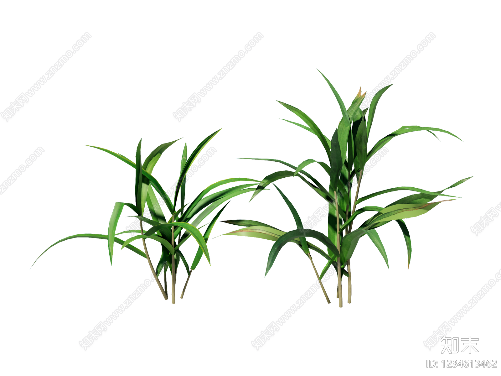 草本植物SU模型下载【ID:1234613462】