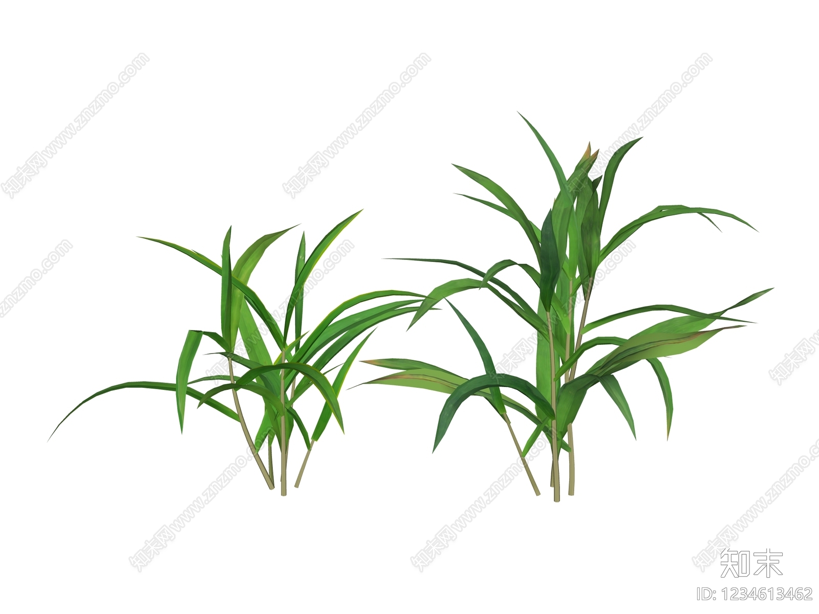 草本植物SU模型下载【ID:1234613462】