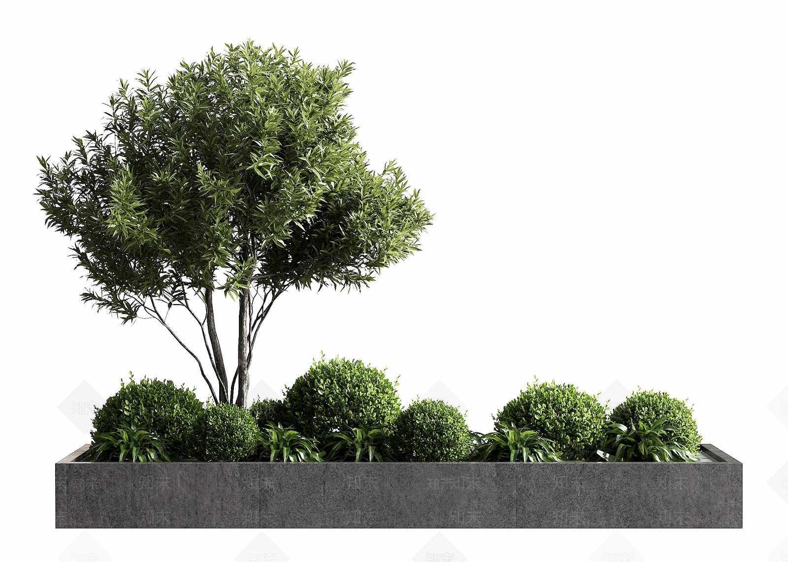 现代简约景观树3D模型渲染效果图
