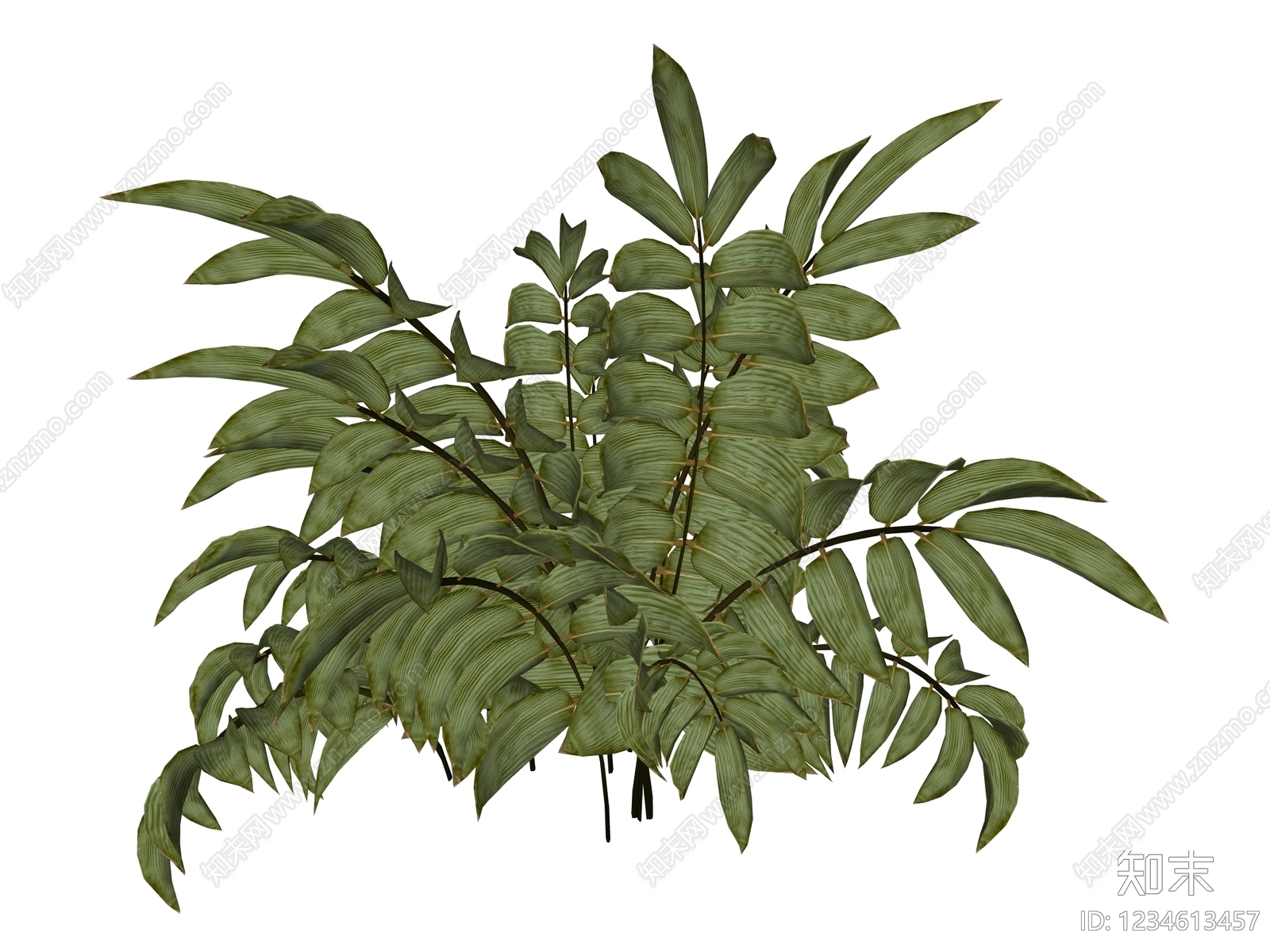 草本植物SU模型下载【ID:1234613457】