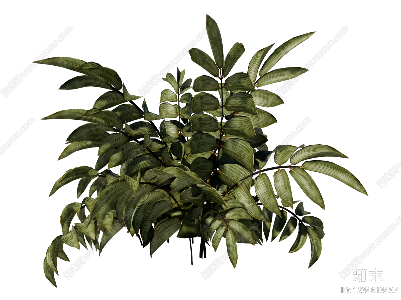 草本植物SU模型下载【ID:1234613457】