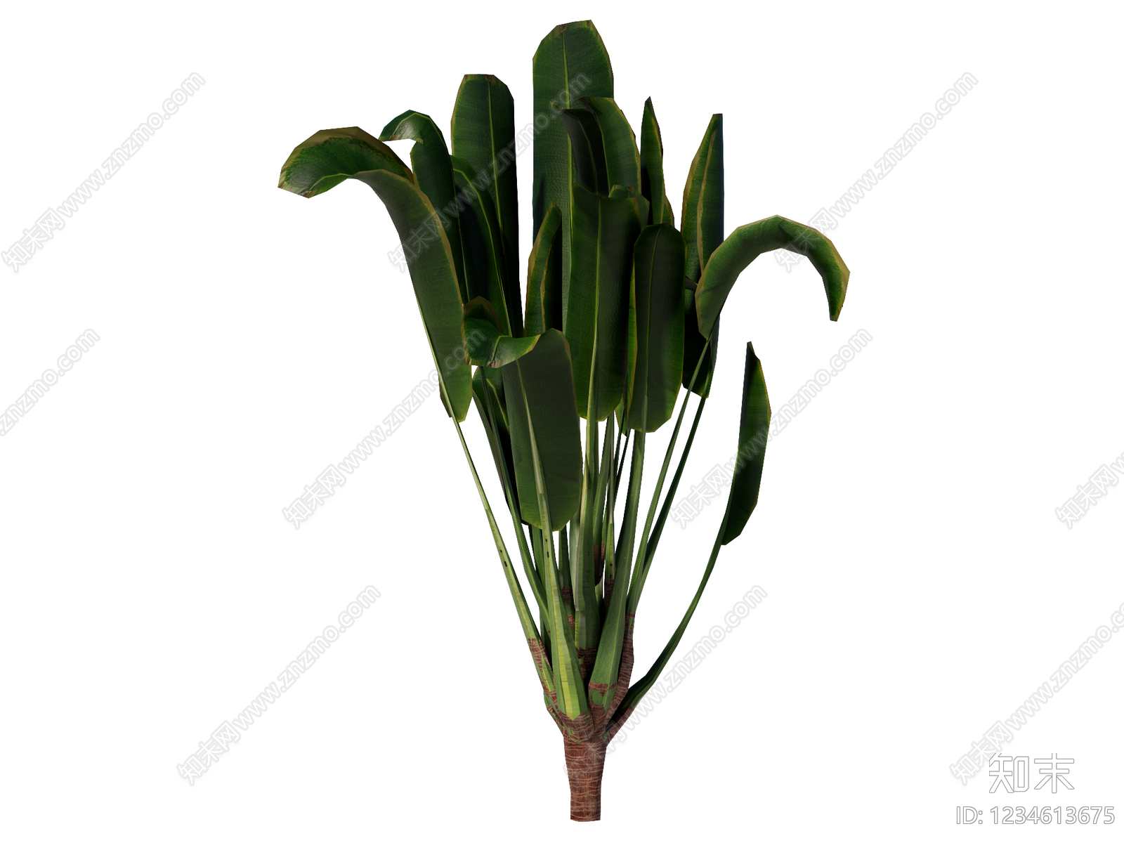 草本植物SU模型下载【ID:1234613675】