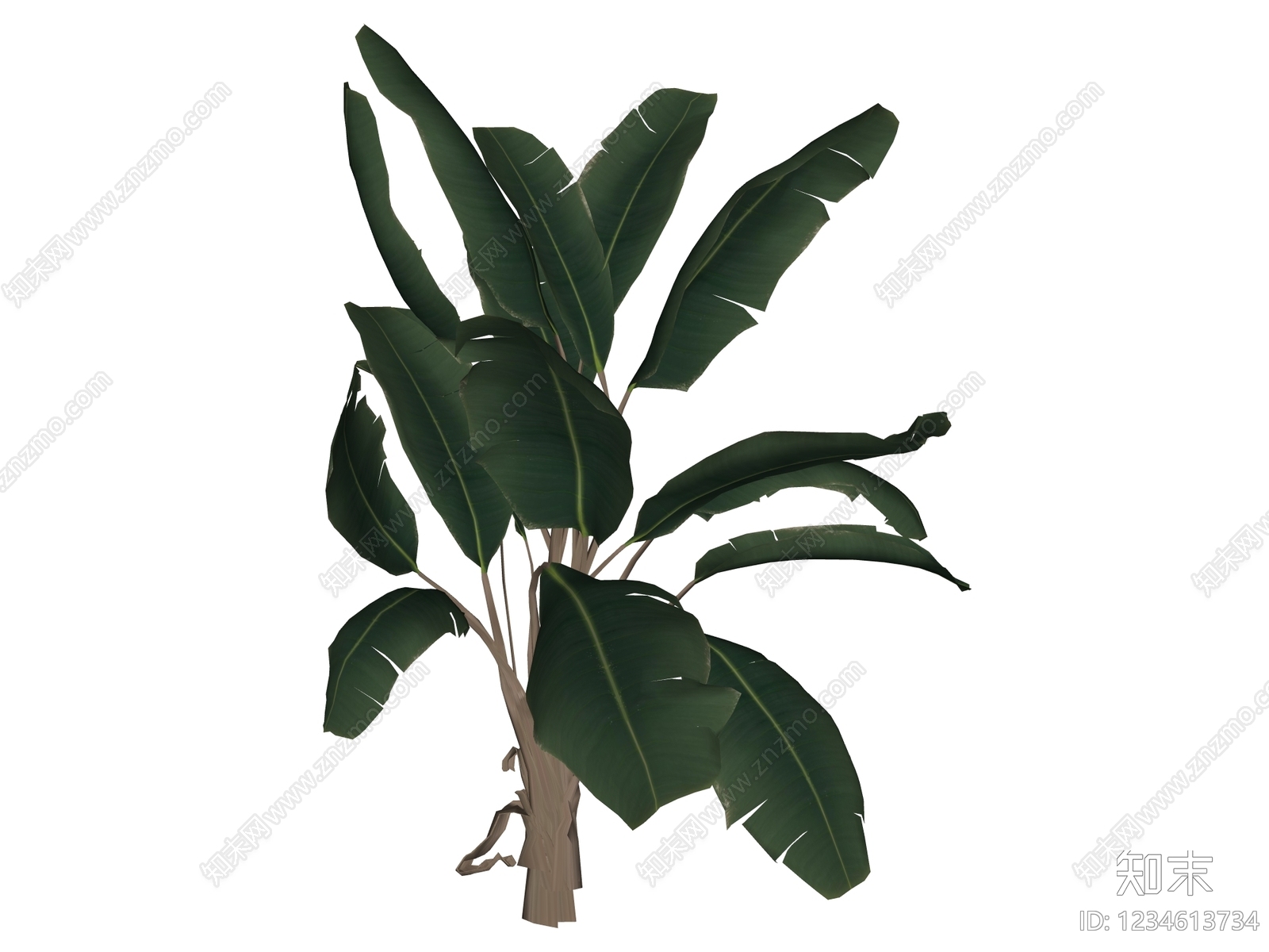 草本植物SU模型下载【ID:1234613734】