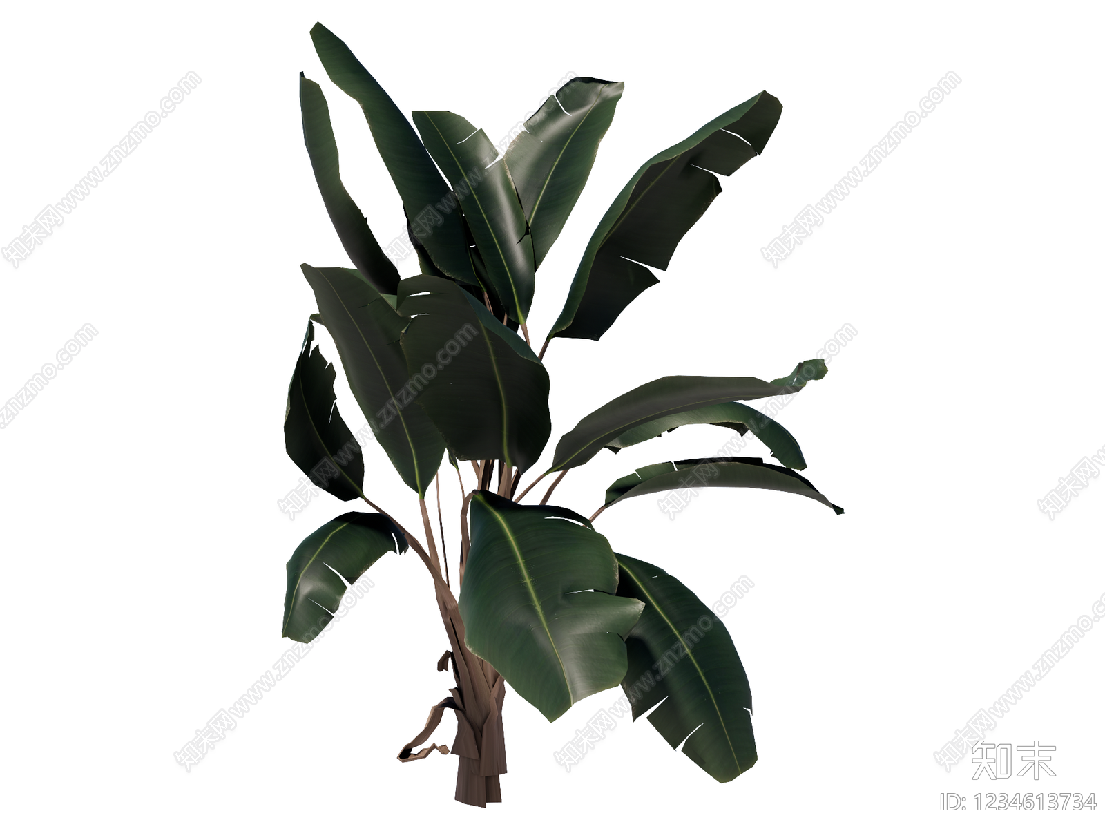 草本植物SU模型下载【ID:1234613734】