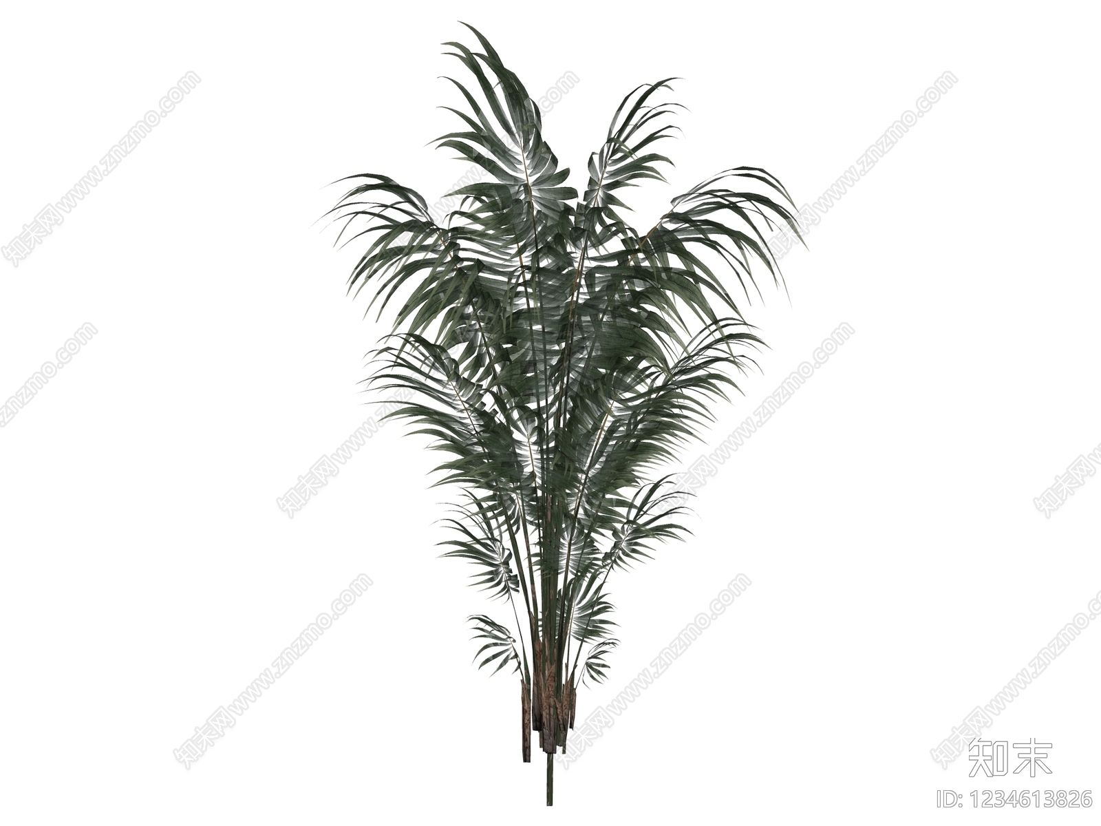 灌木SU模型下载【ID:1234613826】